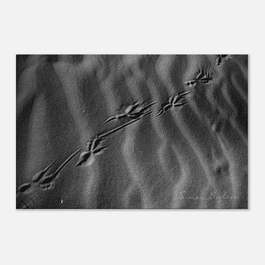 787f62cf-b118-49c7-9132-c498520ec5ec