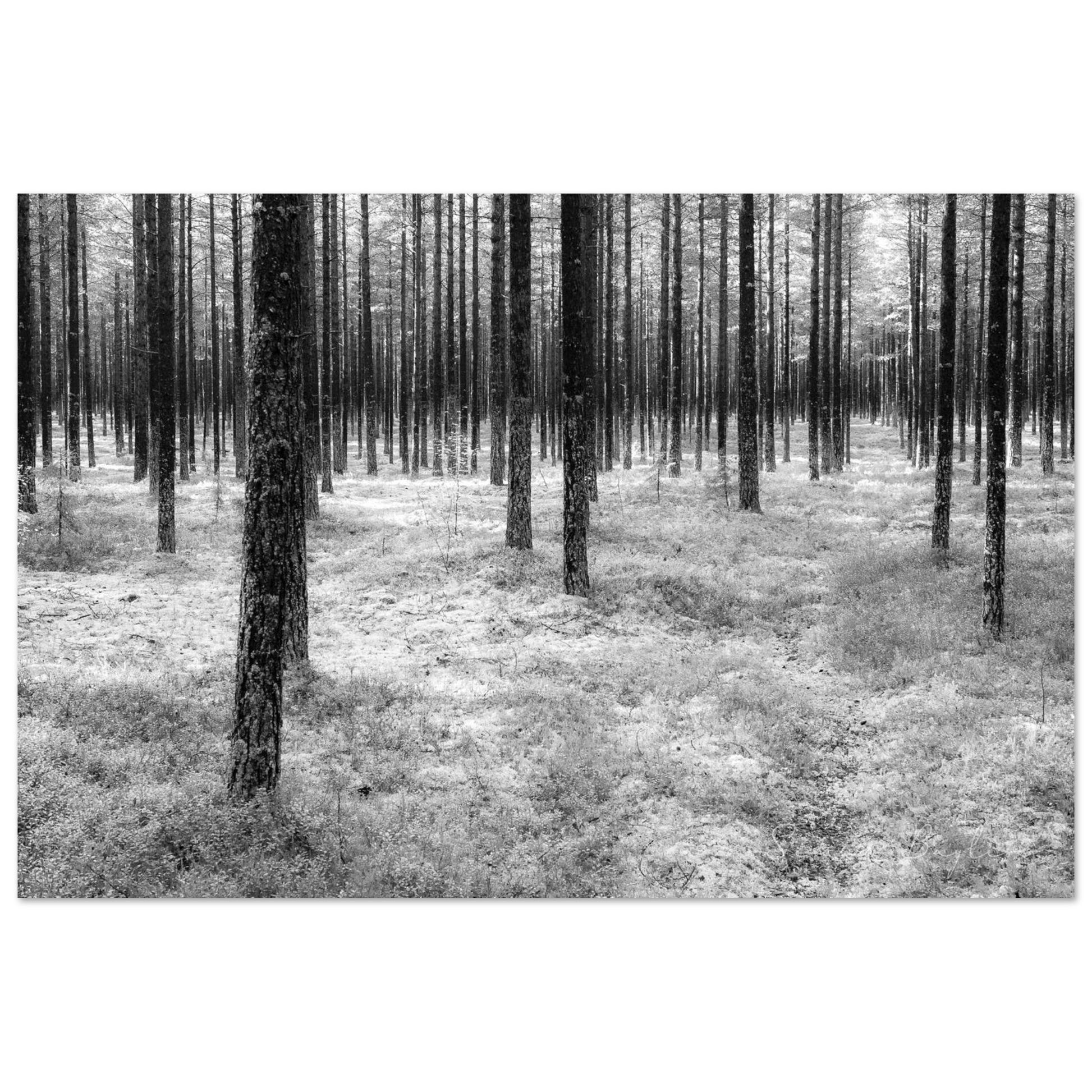 78fd7b04-5140-46b8-81c3-f02d4571c69c