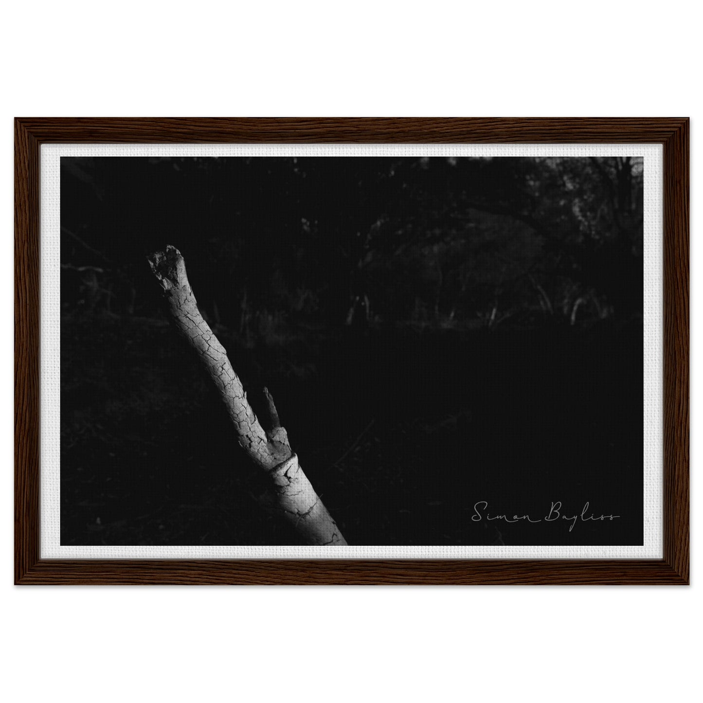 793592ee-d2c9-4680-8151-e9a7838c04d9