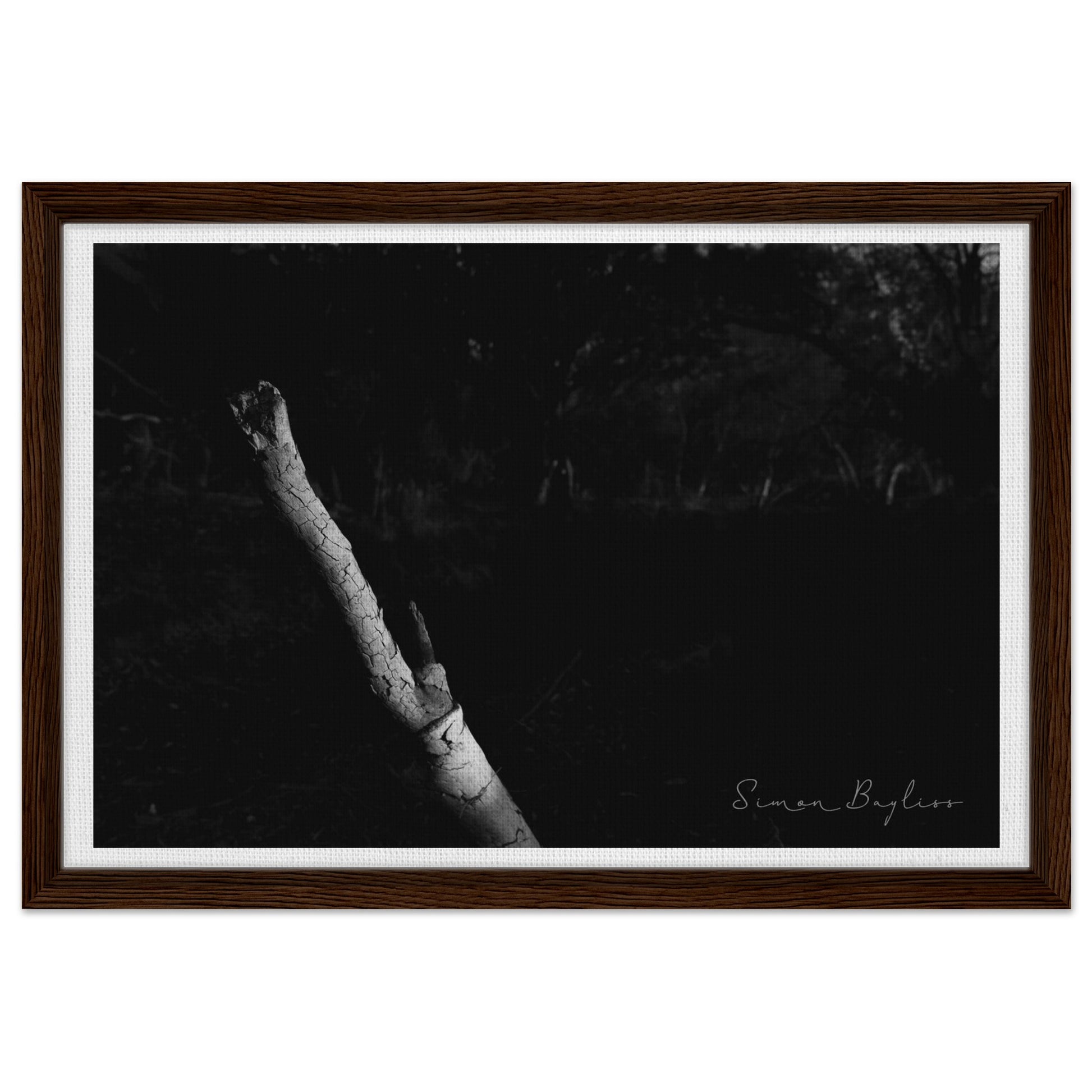 793592ee-d2c9-4680-8151-e9a7838c04d9