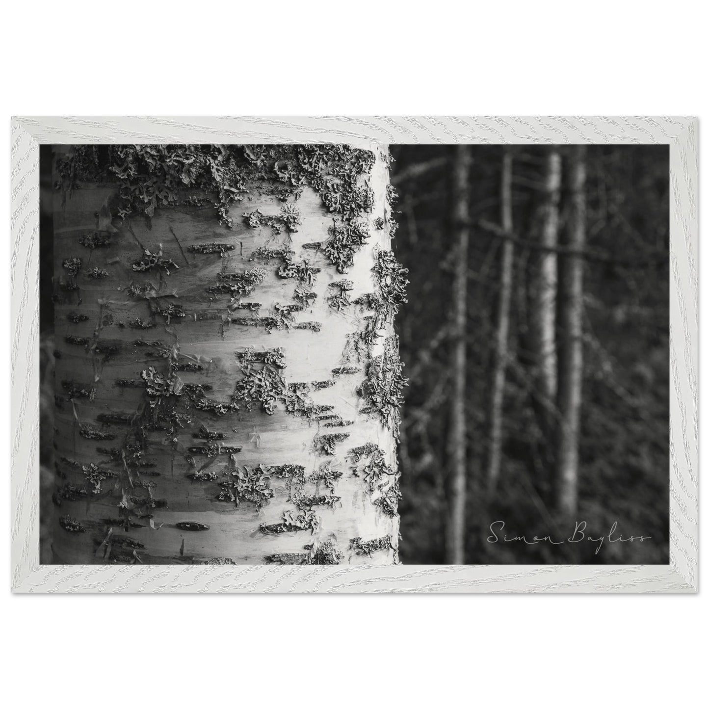 794a9e1c-eb87-4a13-9bcc-44d8c2e6a81a