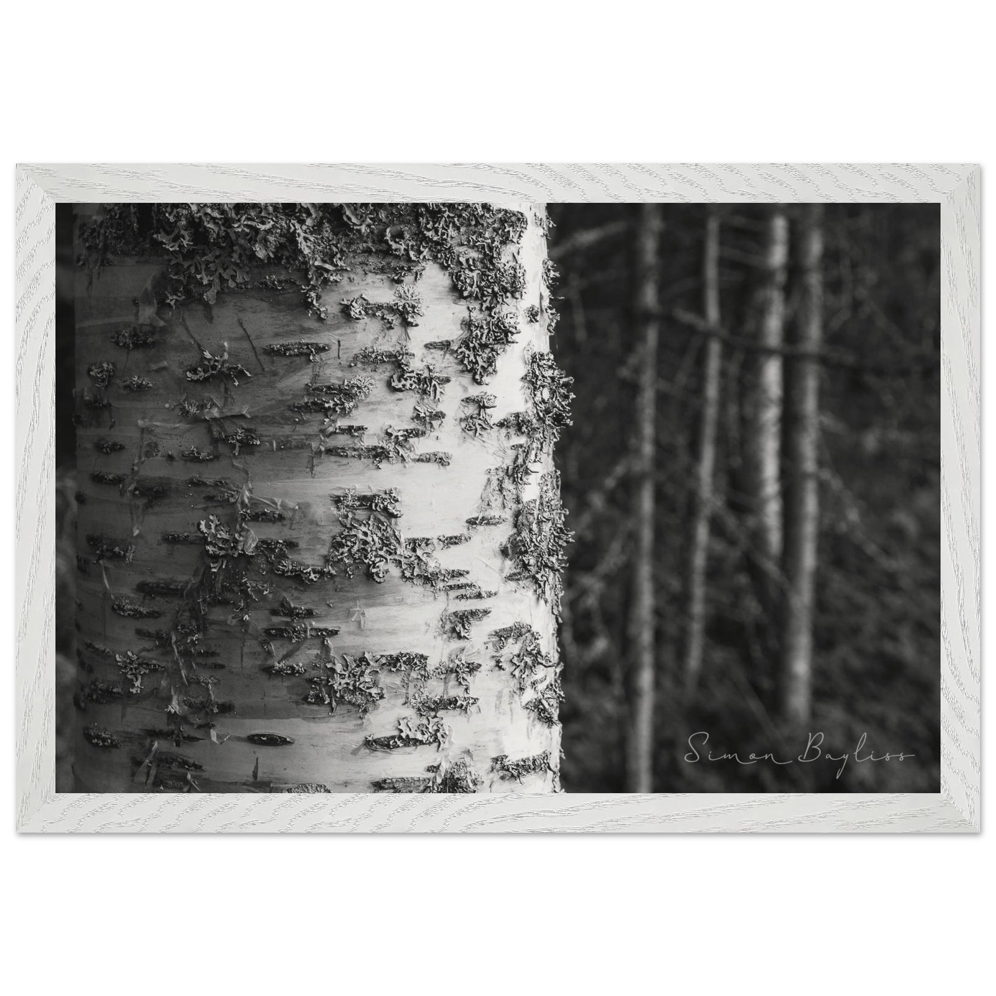 794a9e1c-eb87-4a13-9bcc-44d8c2e6a81a