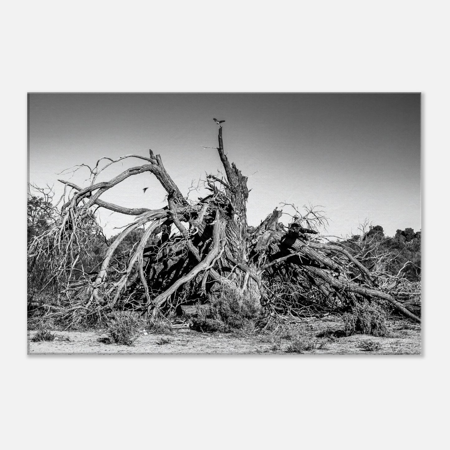 7967ce90-d1cd-456b-ab28-6fb8384b4d7c