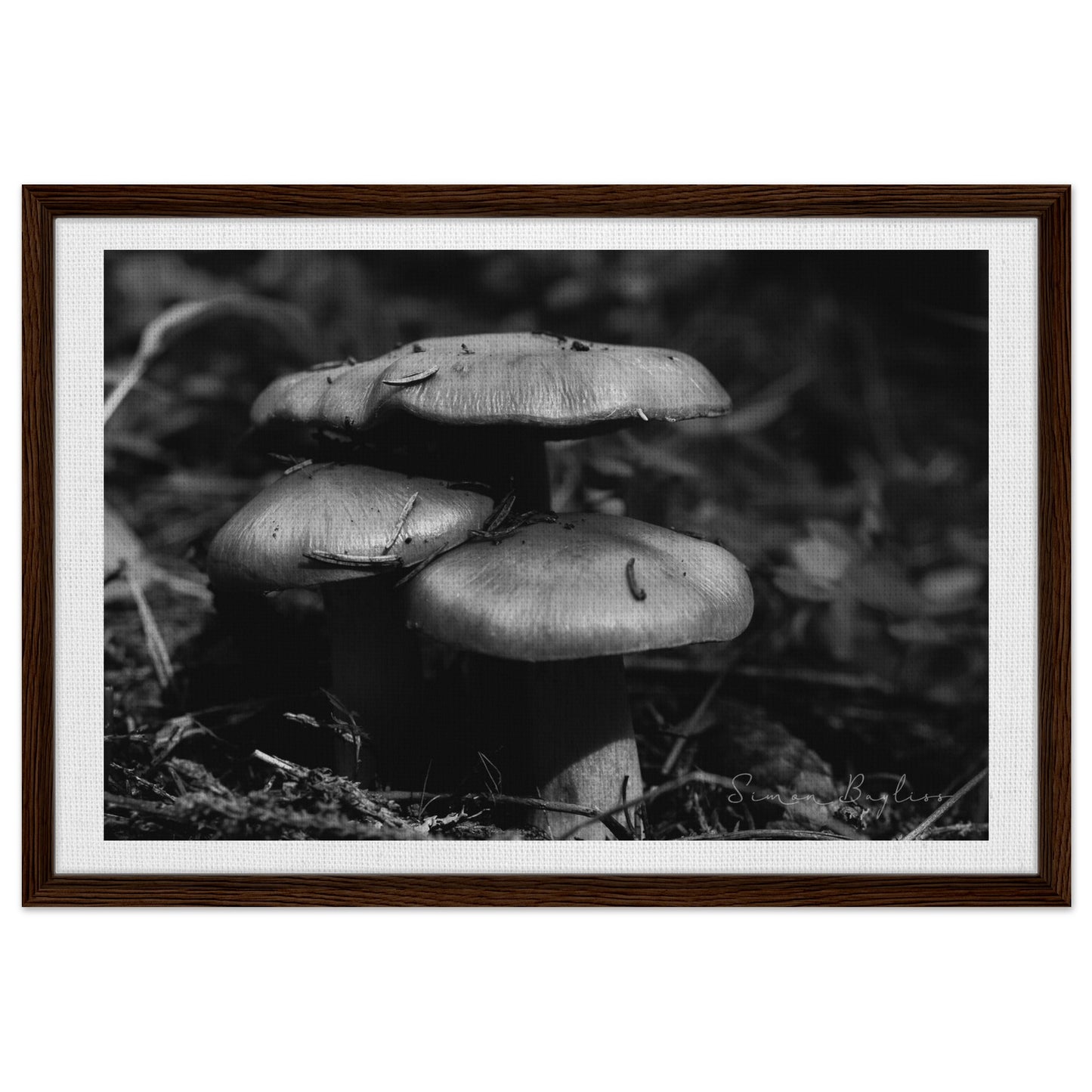 79a3da03-8369-47de-b390-ff1f5ca19d90