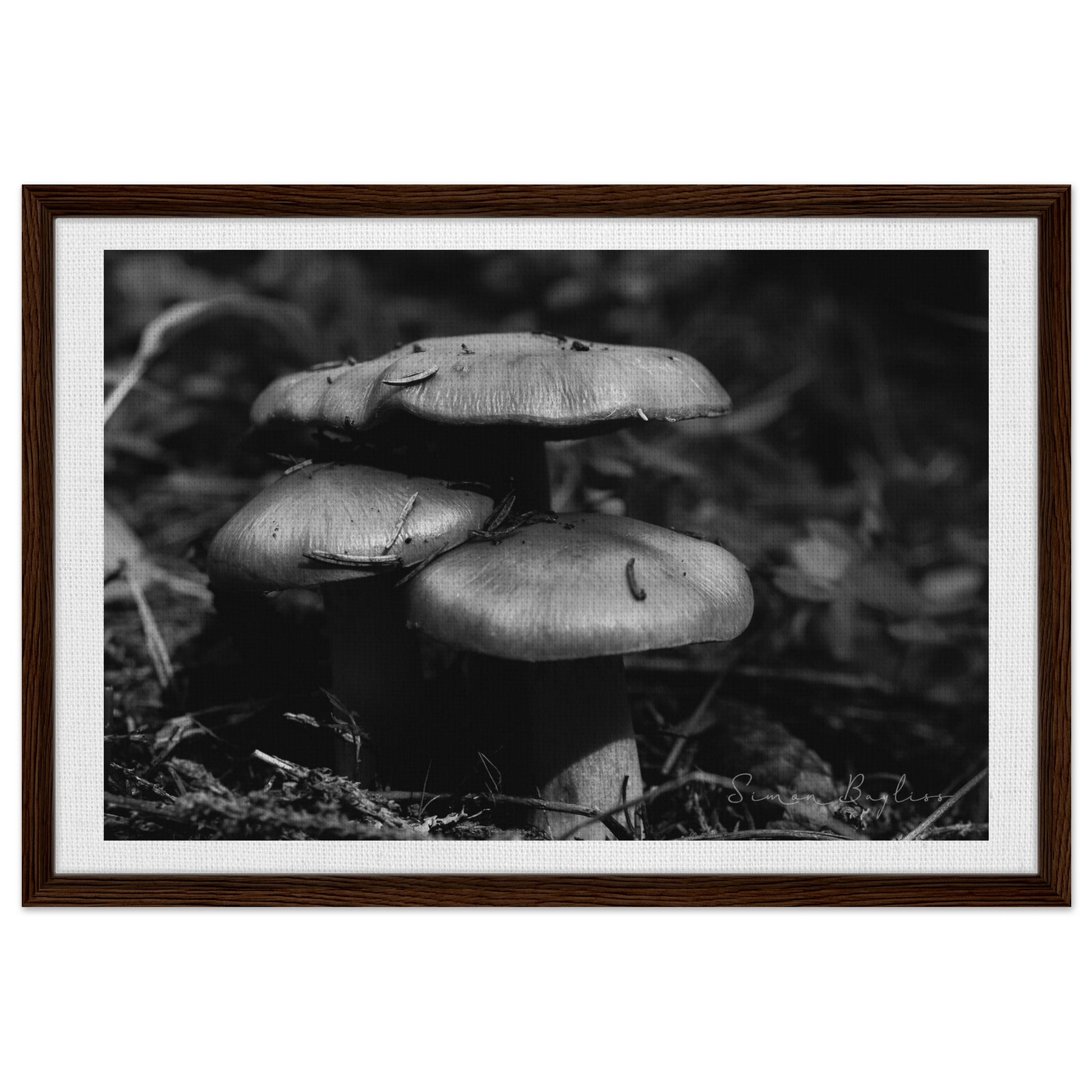 79a3da03-8369-47de-b390-ff1f5ca19d90