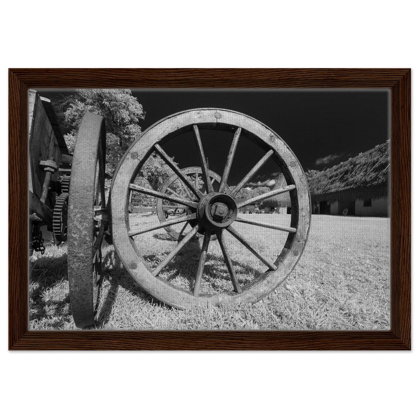 79e3bbd0-1bc2-4d9f-b722-0e5128d92d23