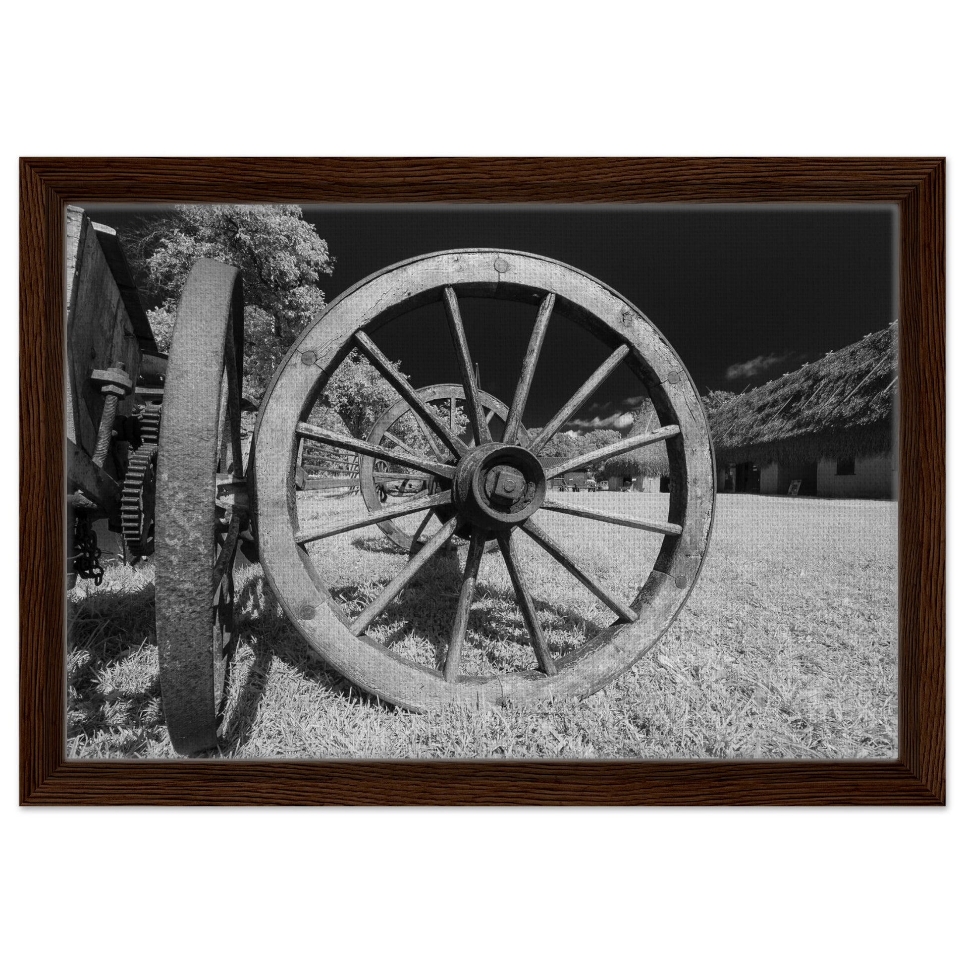 79e3bbd0-1bc2-4d9f-b722-0e5128d92d23