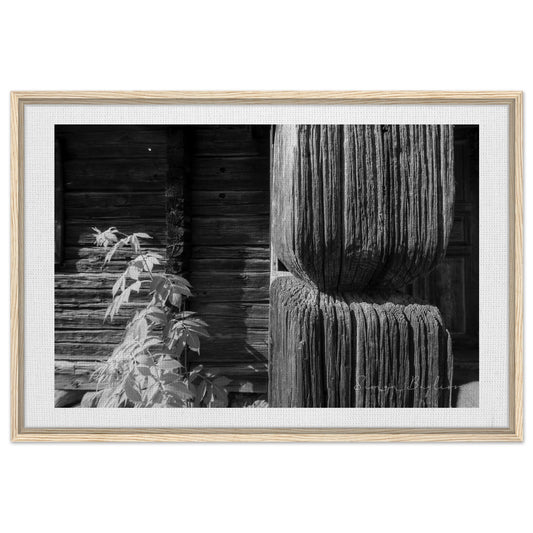 79f0e0b9-2f04-43f4-b9a0-28927059a402