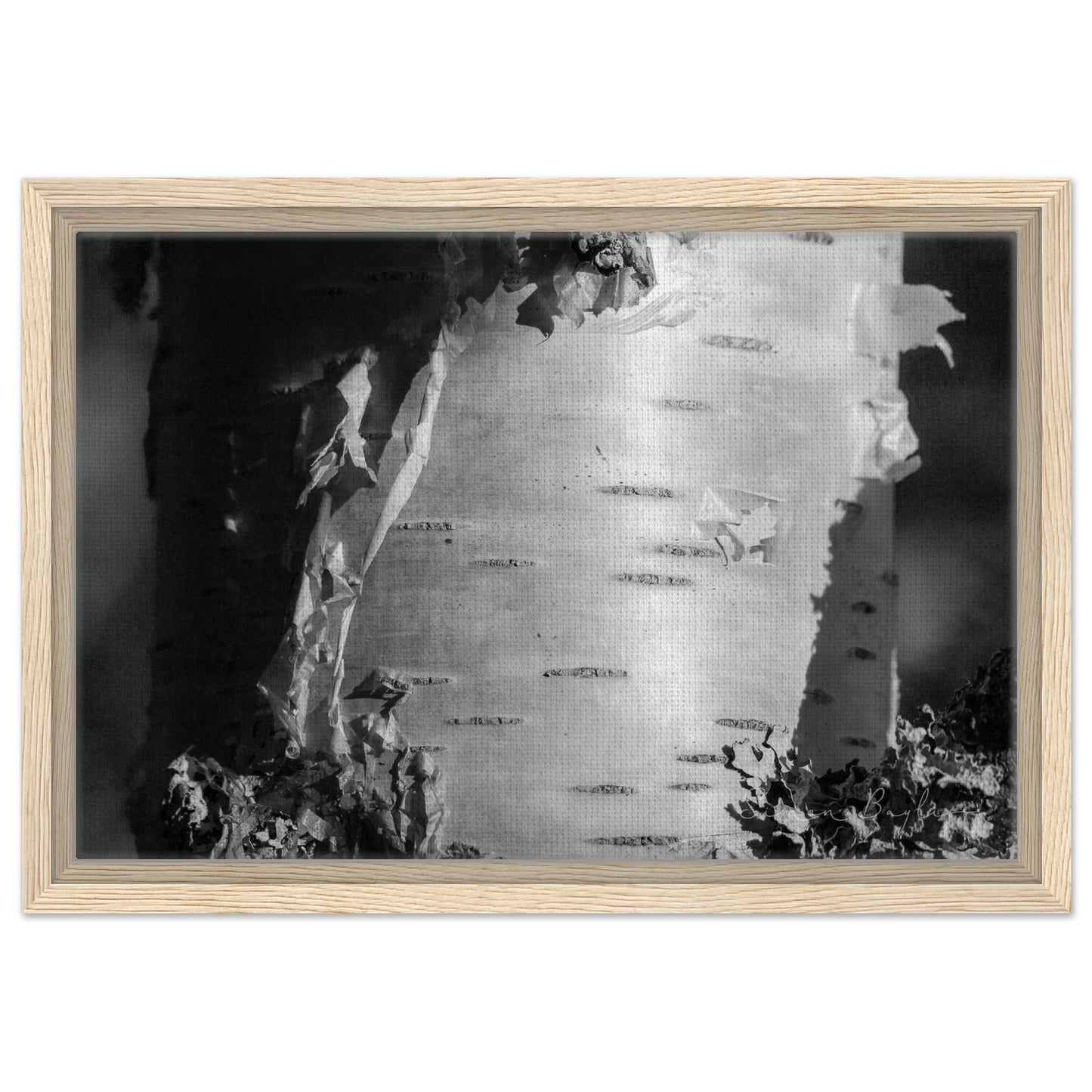 7b11b822-18a9-450a-b080-5f65ccf2c4a2