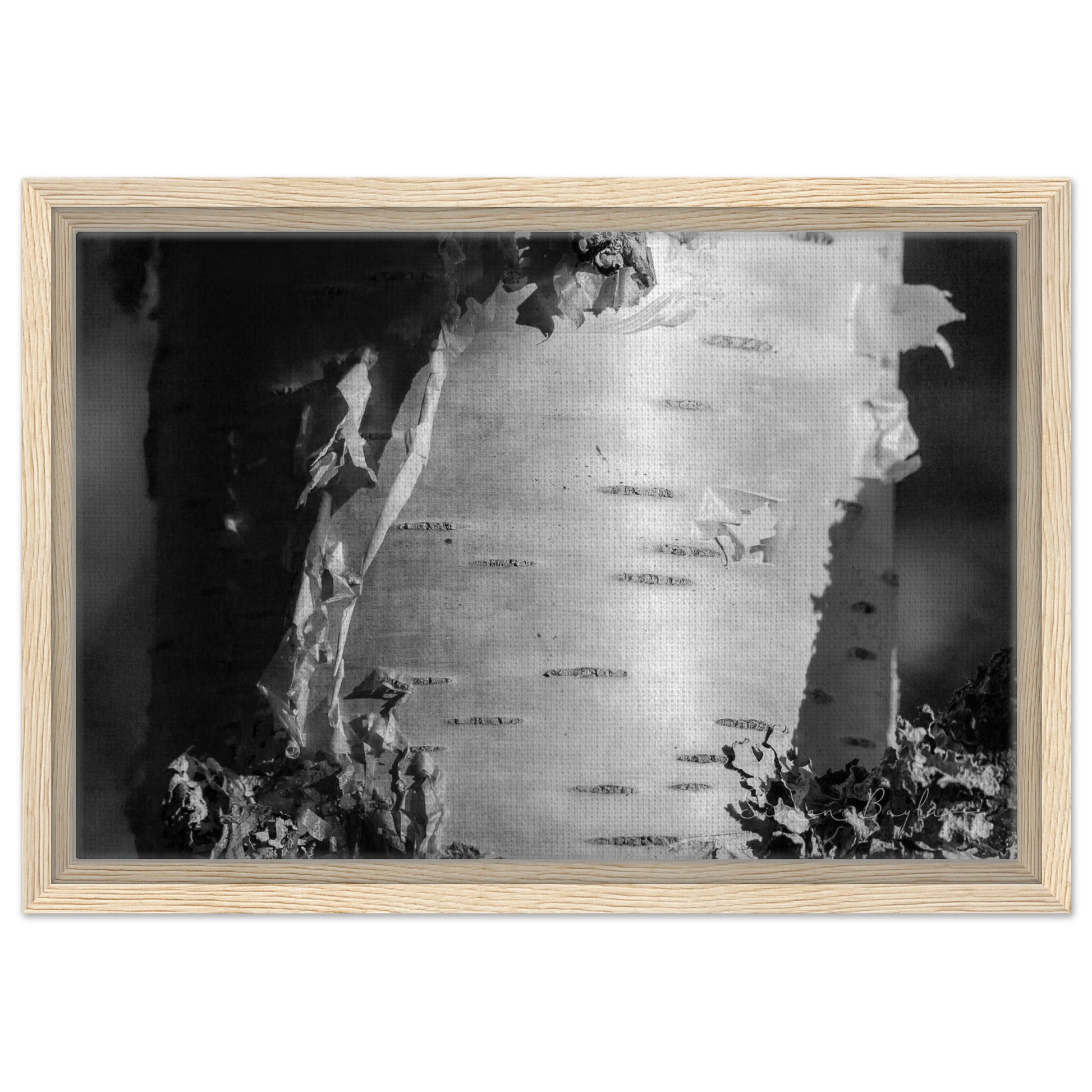 7b11b822-18a9-450a-b080-5f65ccf2c4a2