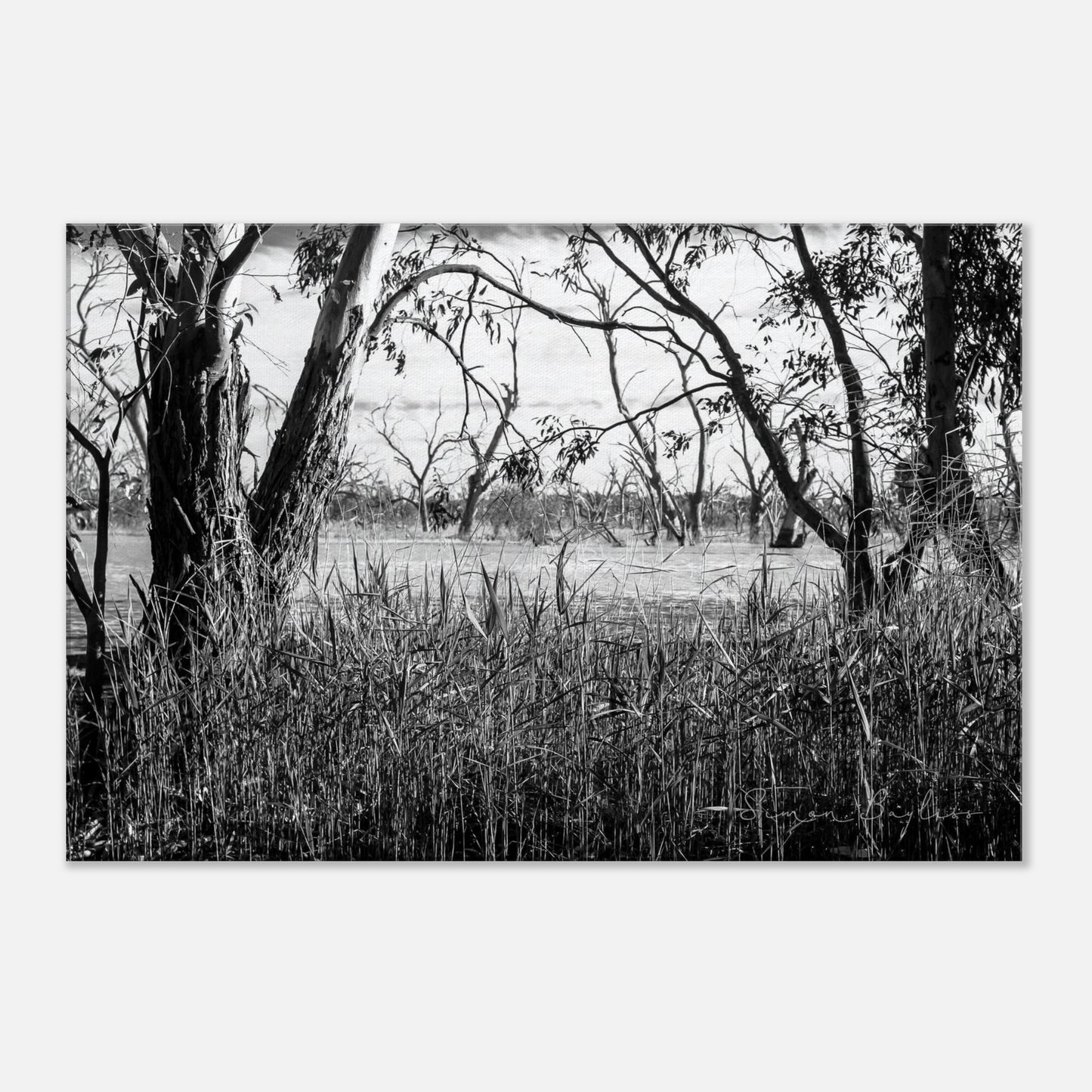 7b5b429d-4e5c-48cb-ab23-0fc074890188