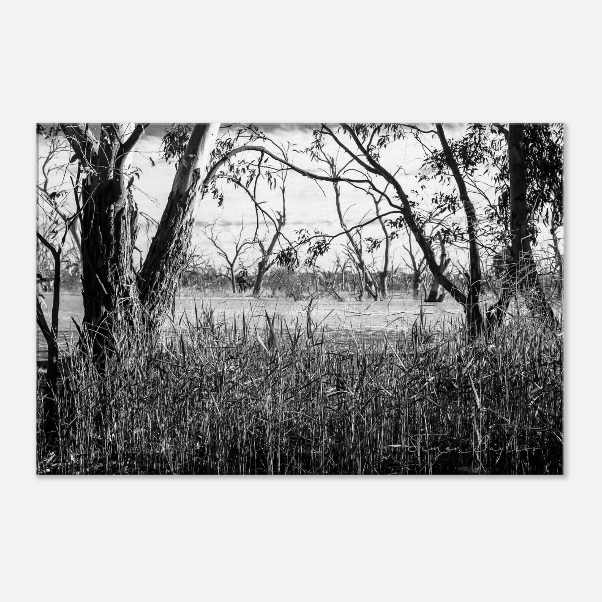 7b5b429d-4e5c-48cb-ab23-0fc074890188