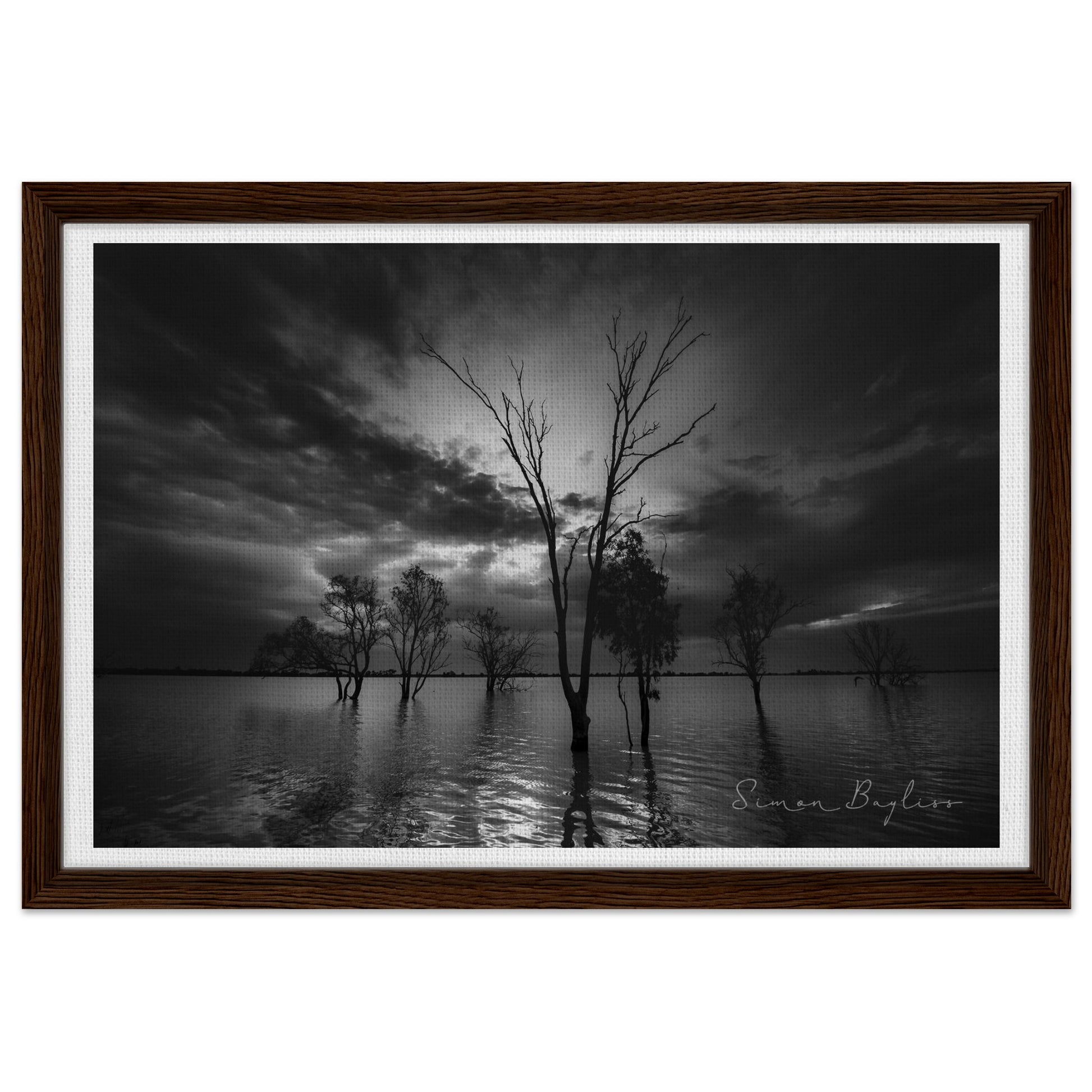 7b9cd1bd-b373-4939-9770-6c4f3fe32c29