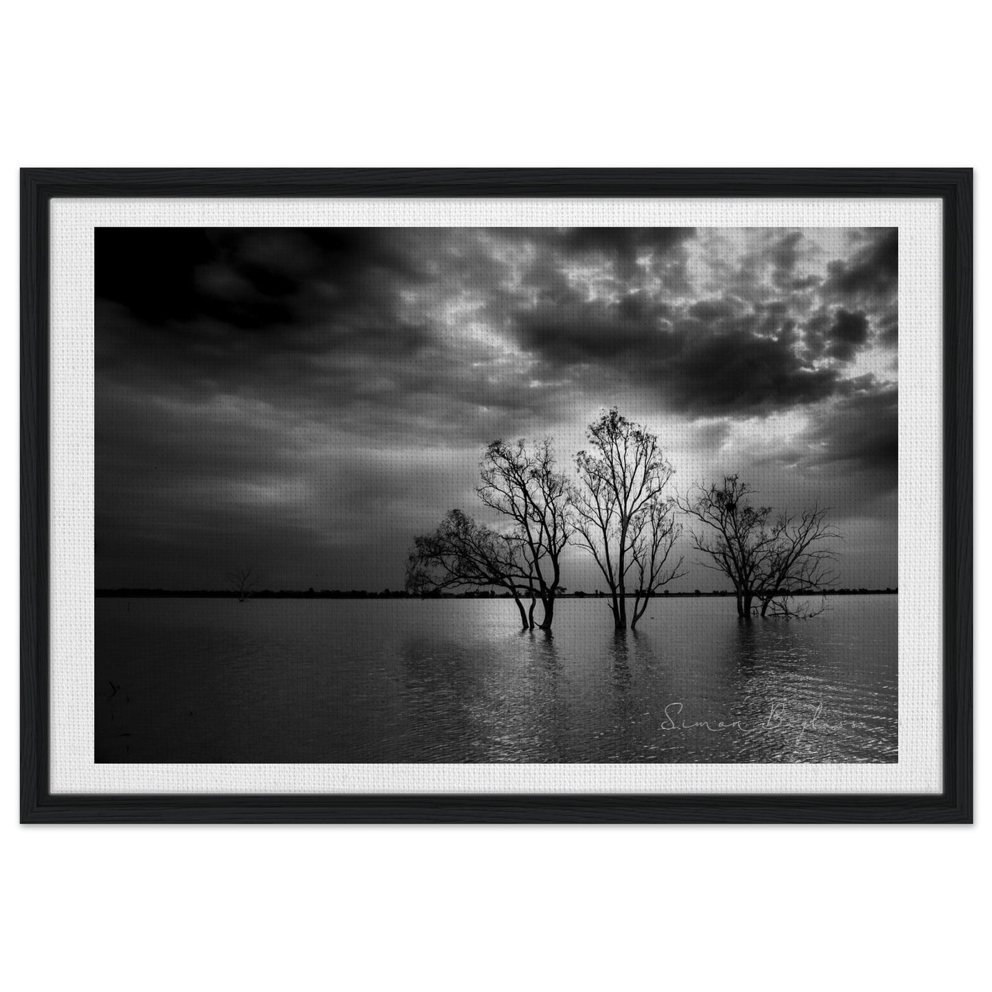 7c42feed-58ba-473c-bbce-2ed4dbf99a4b