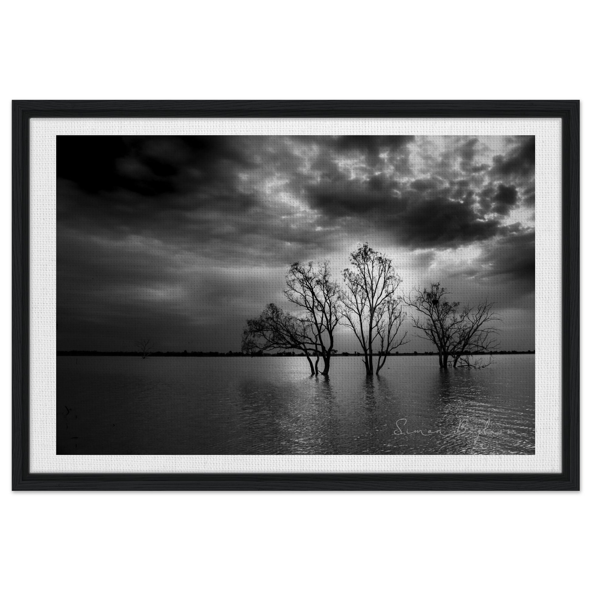 7c42feed-58ba-473c-bbce-2ed4dbf99a4b