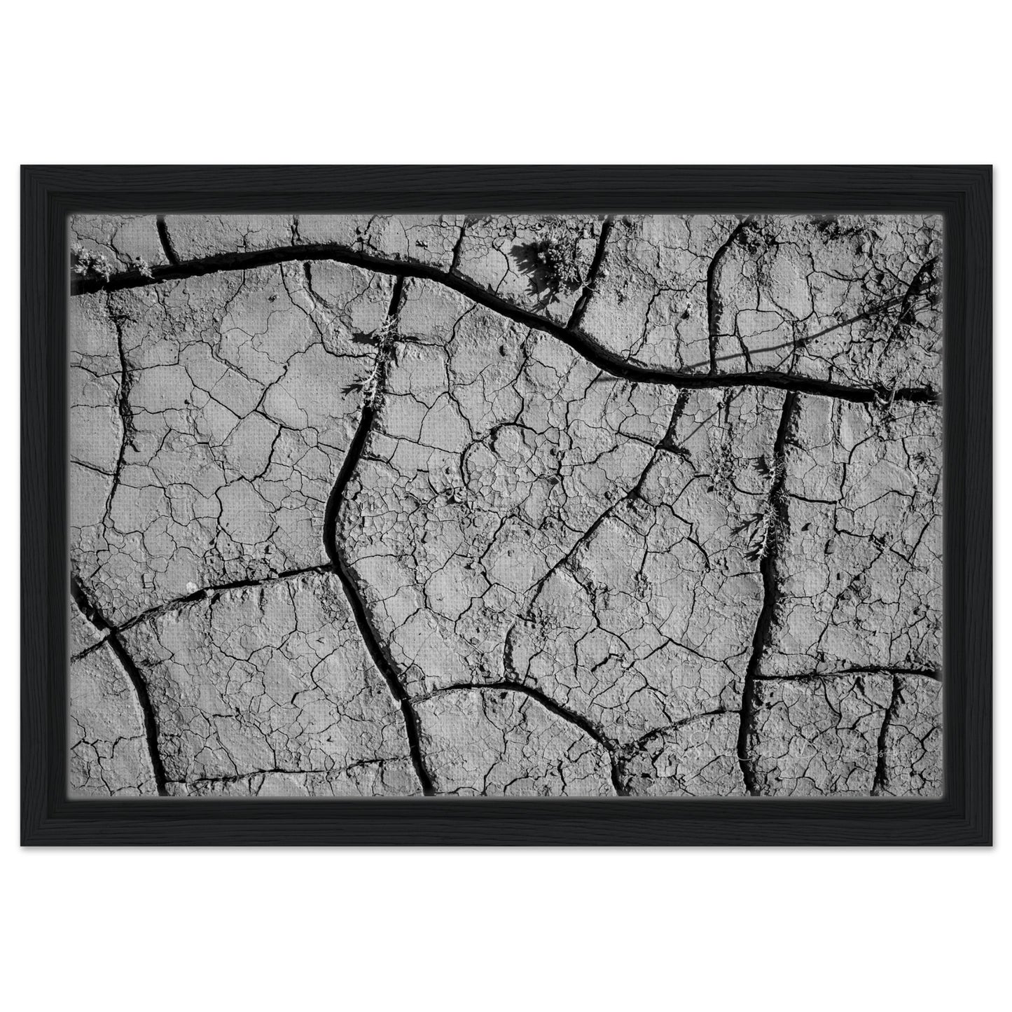 7ccc3674-7ead-4ad5-9ef1-8cb801b7e807