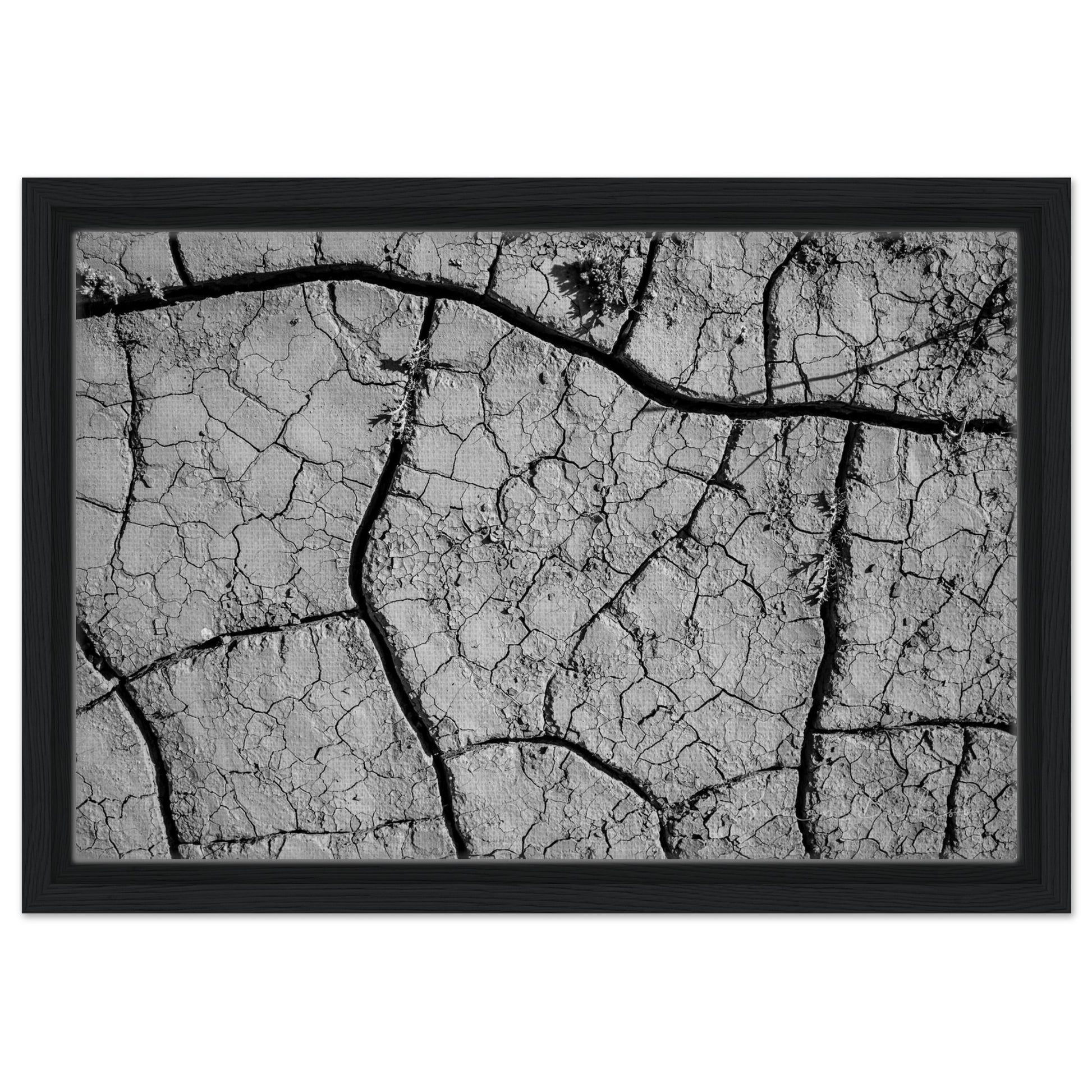 7ccc3674-7ead-4ad5-9ef1-8cb801b7e807