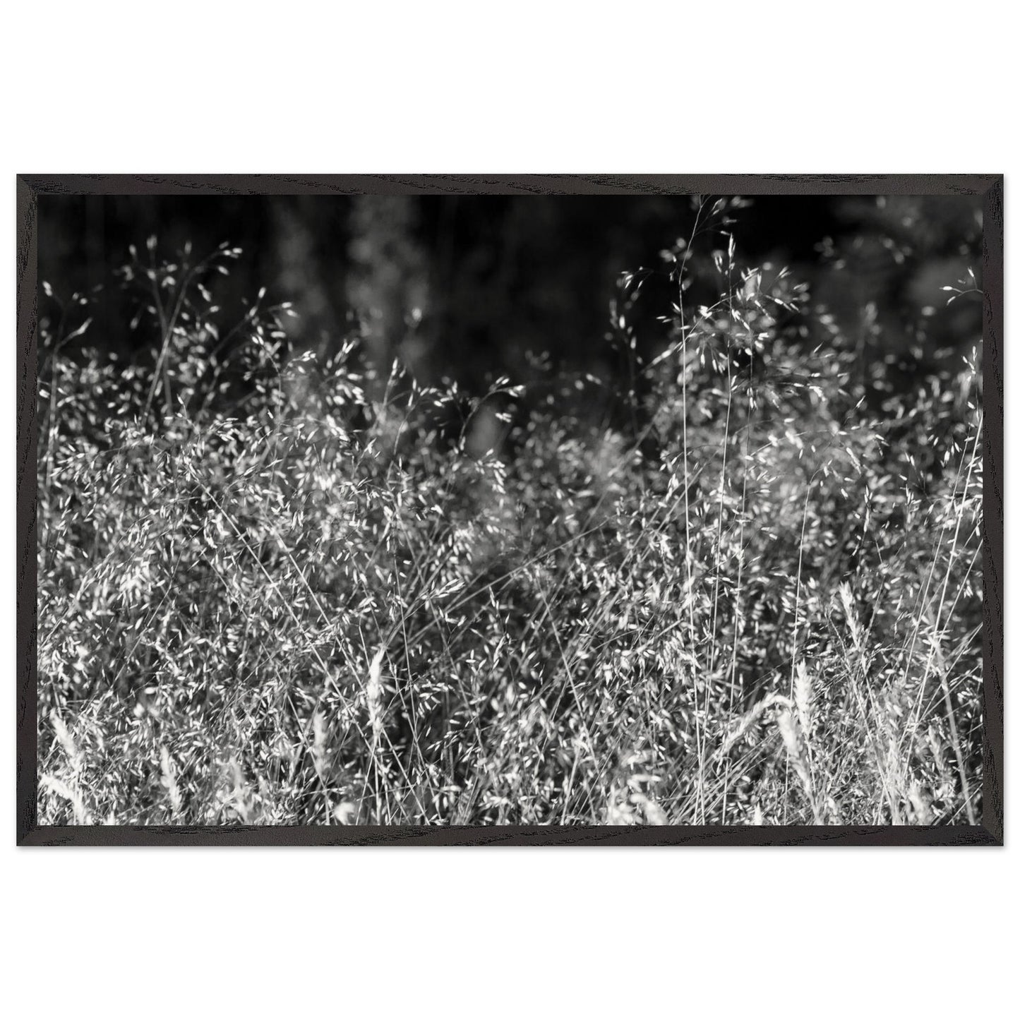 7d261f1a-345a-4d8c-ba18-e1797b8168f1