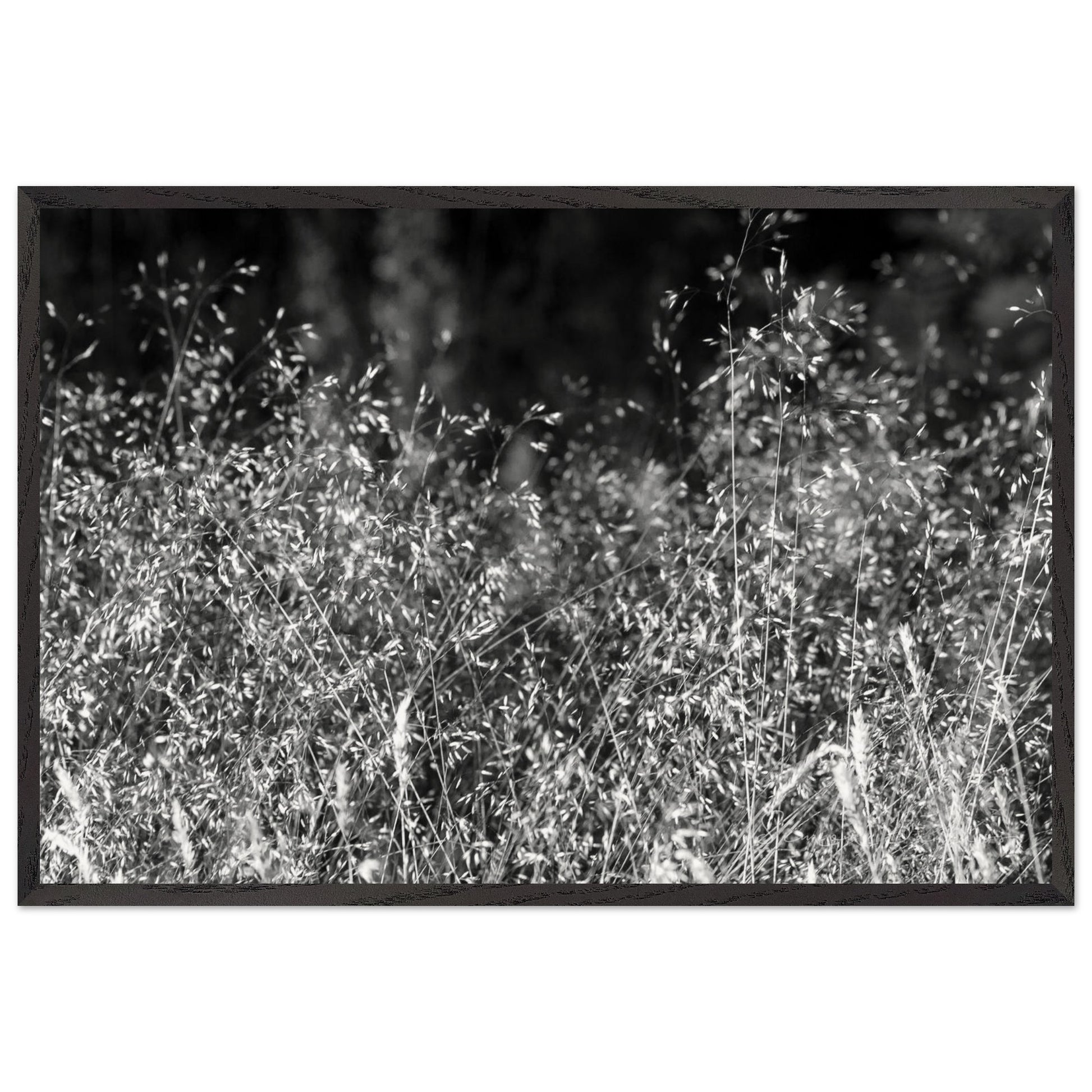 7d261f1a-345a-4d8c-ba18-e1797b8168f1