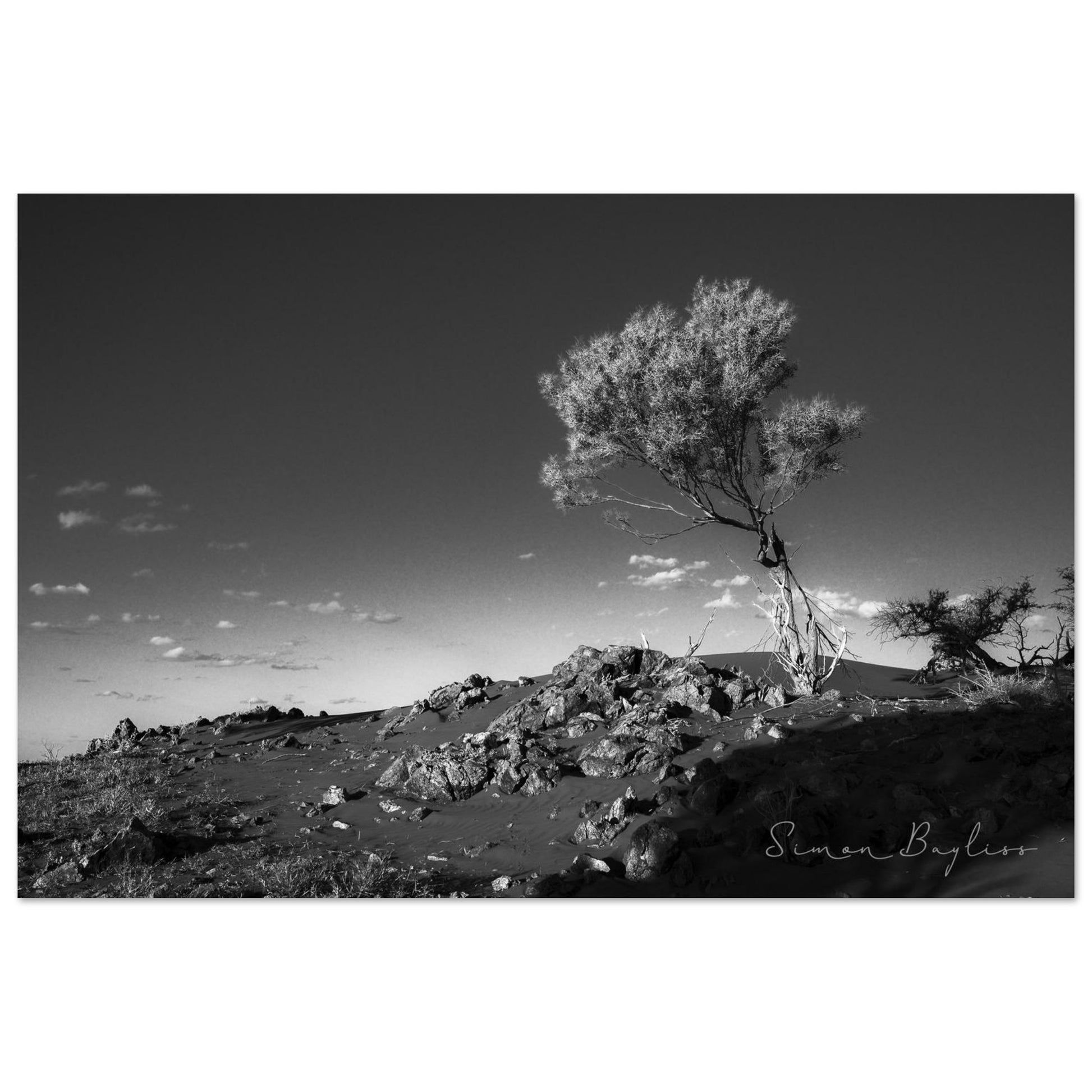 7d66c4bf-d95f-4743-a10f-46e6124d501d