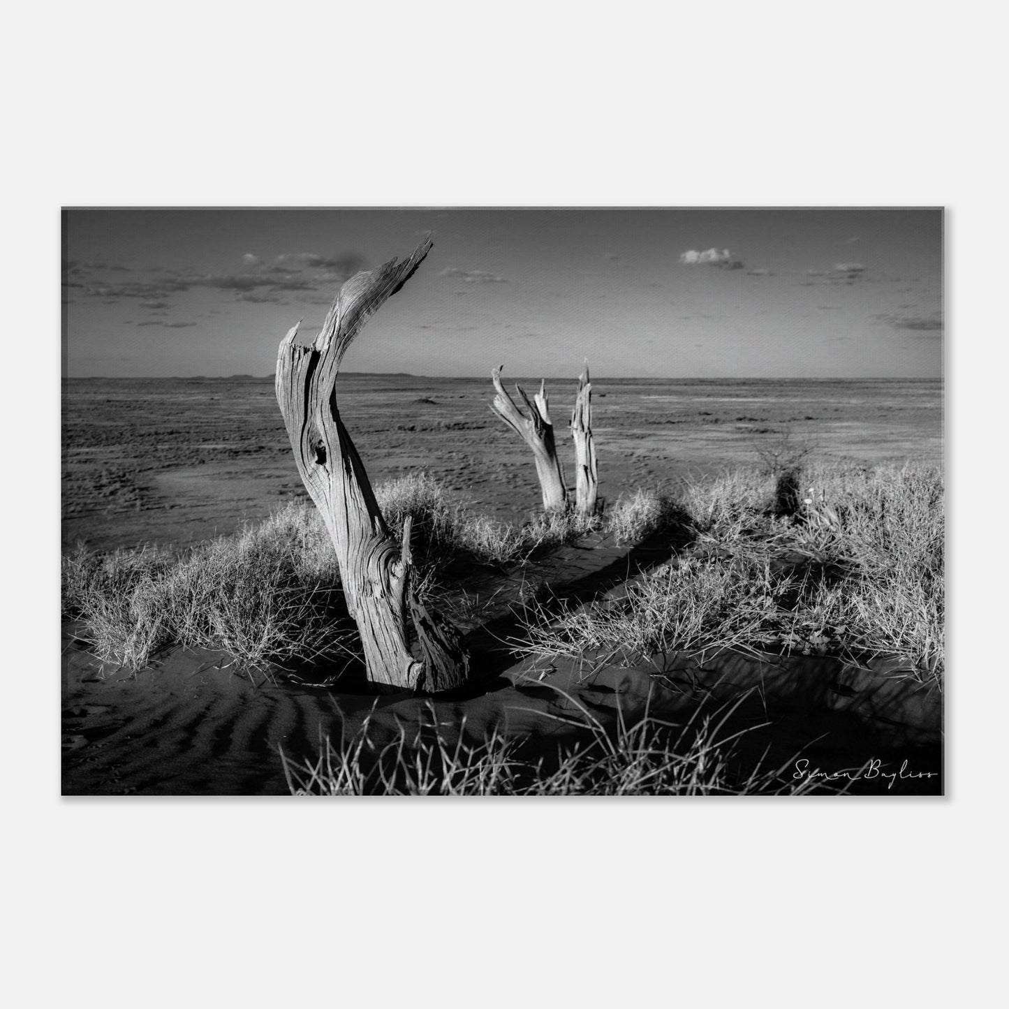 7e025012-b8bd-4509-b96f-043f97b03cdb