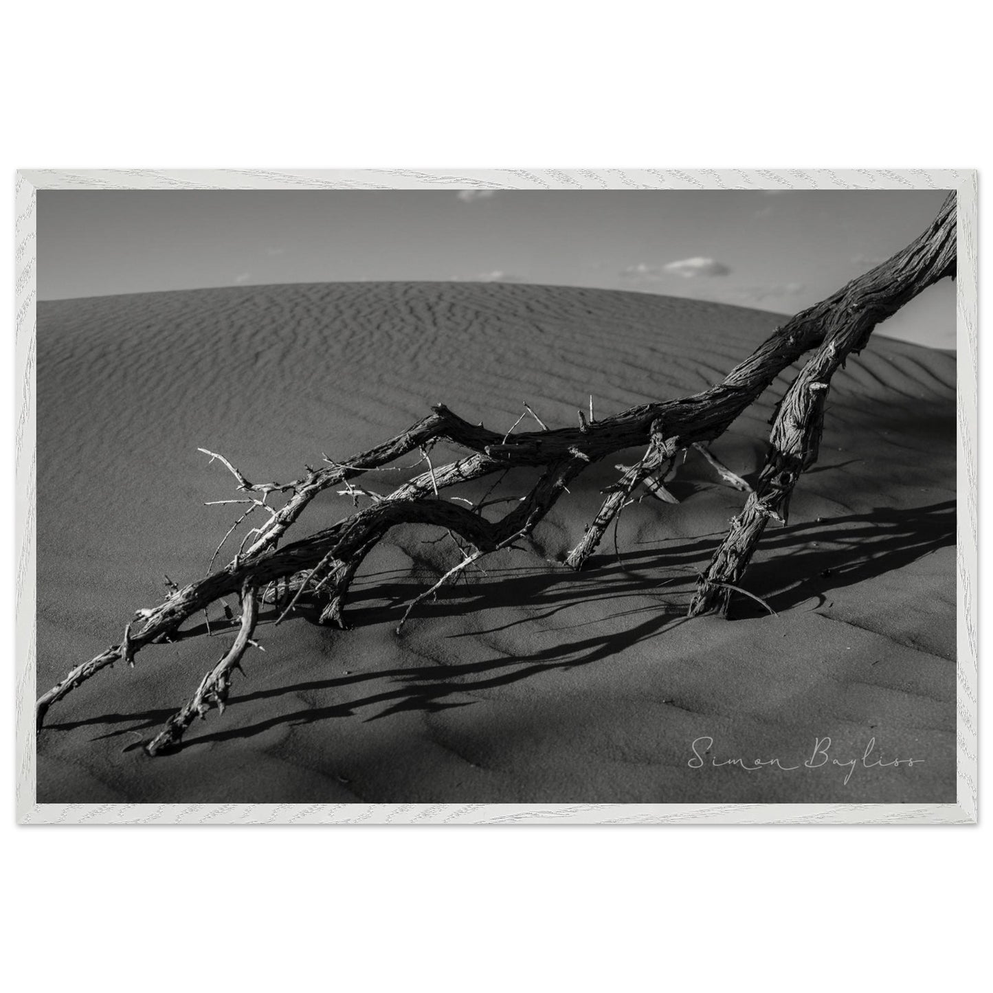 7e46733c-6b6d-46c2-8999-fe0087254054