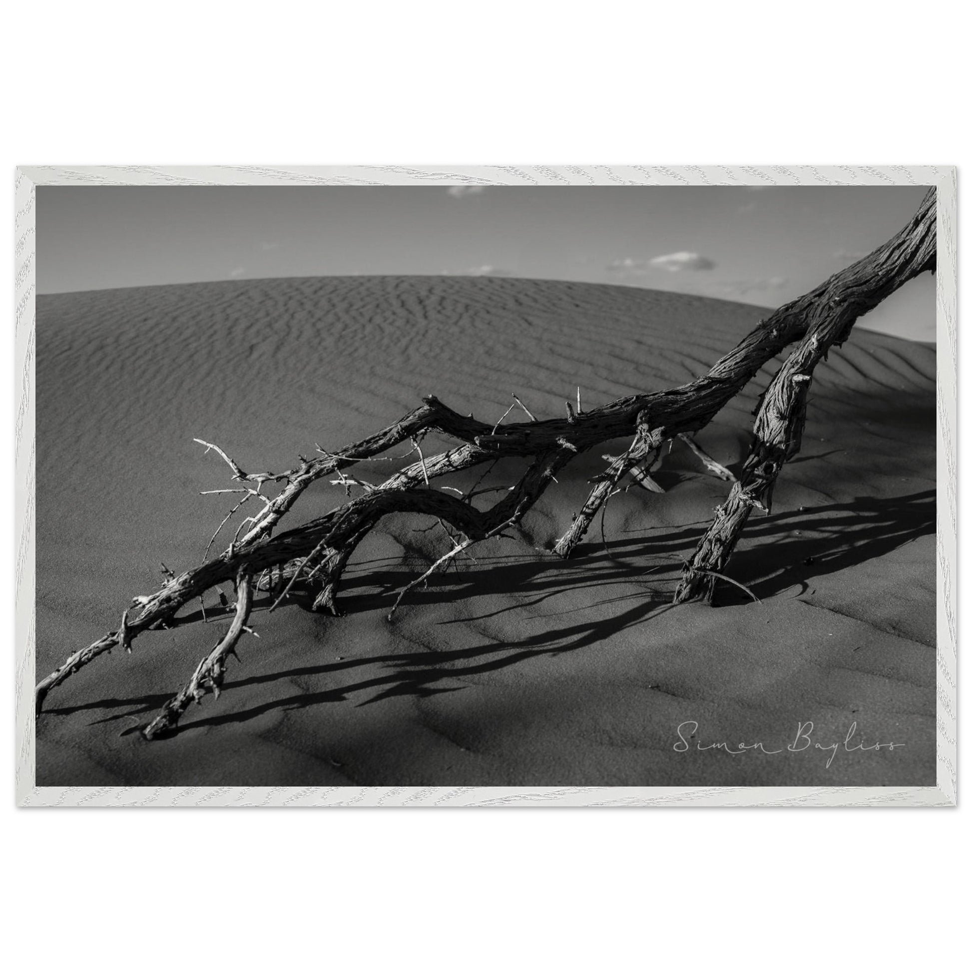 7e46733c-6b6d-46c2-8999-fe0087254054