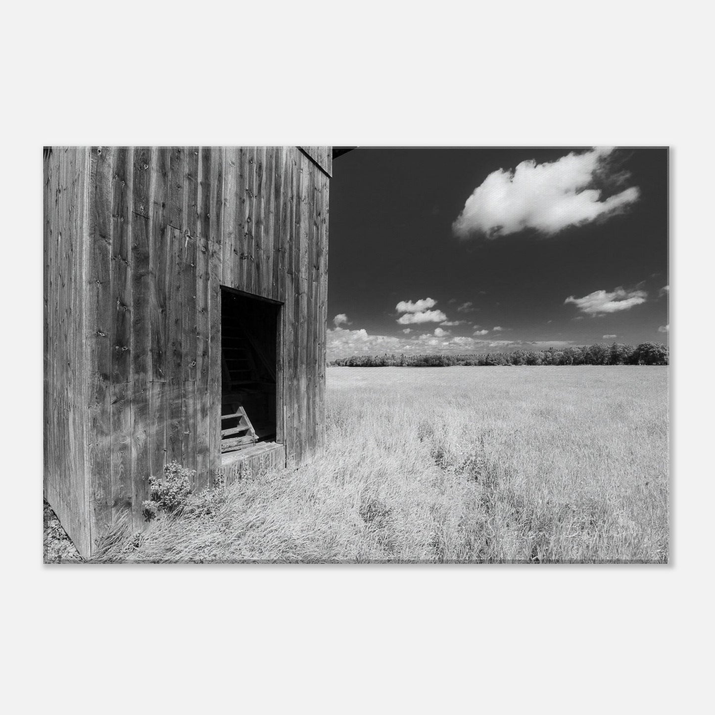 7f622319-b2d6-477c-aef9-3b493379d035