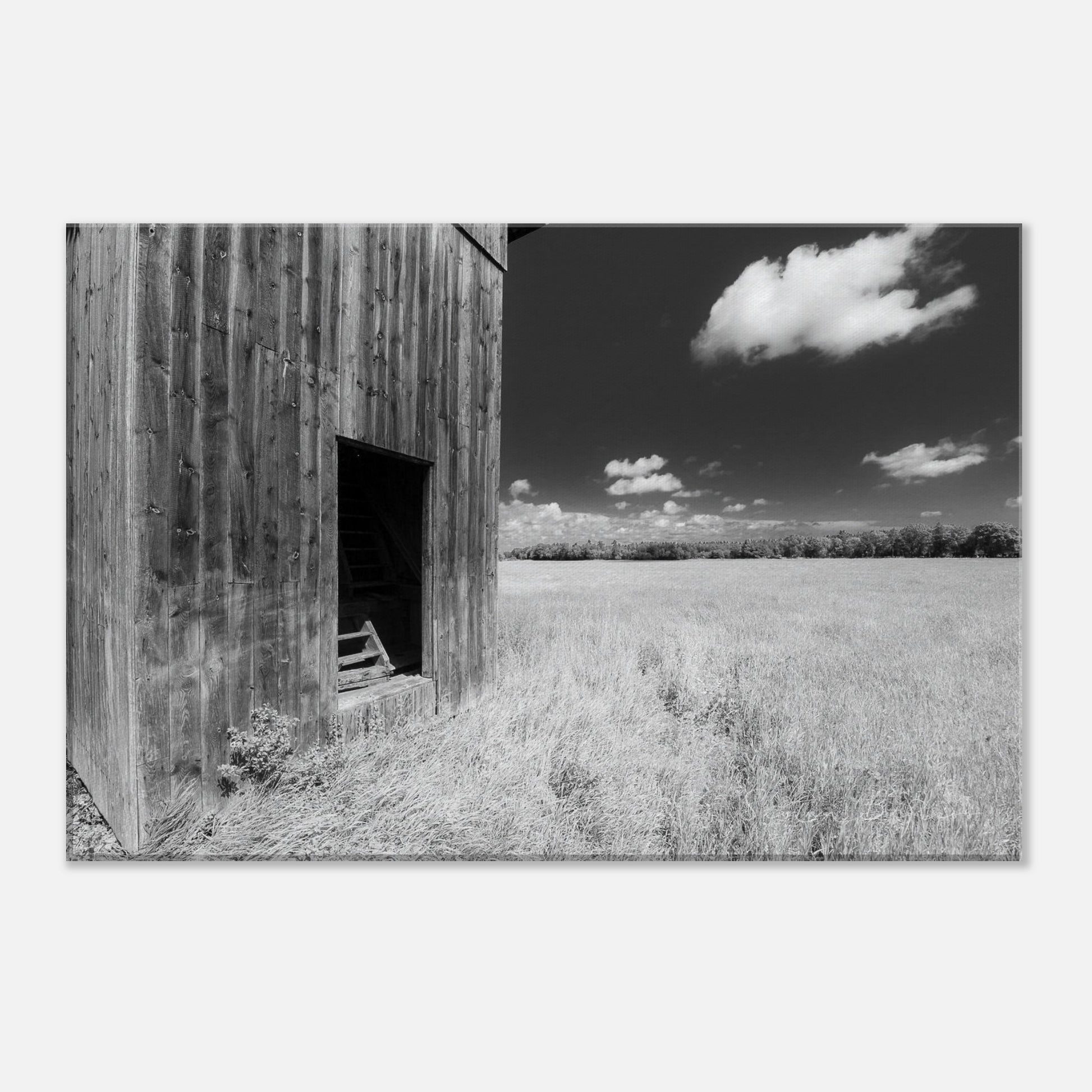 7f622319-b2d6-477c-aef9-3b493379d035