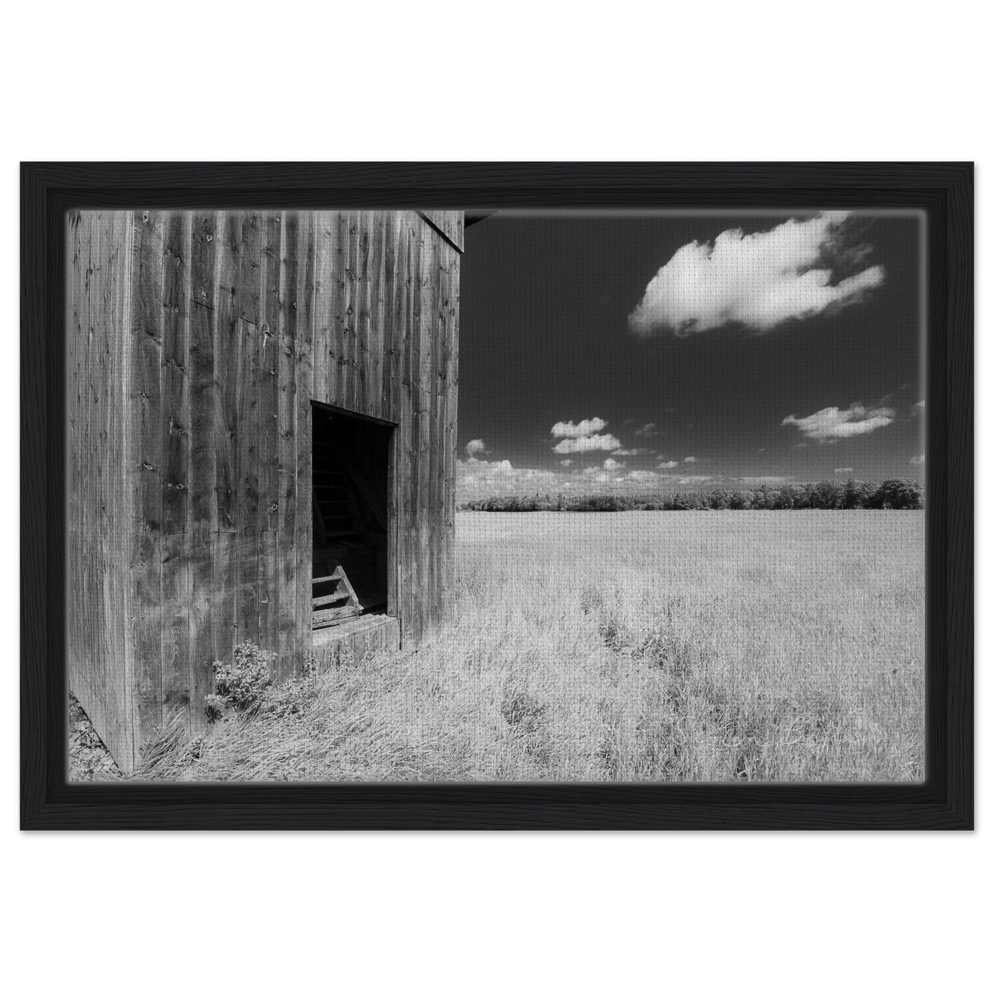 7fb0aae6-43a2-40c5-a07a-2439bc7a03c1