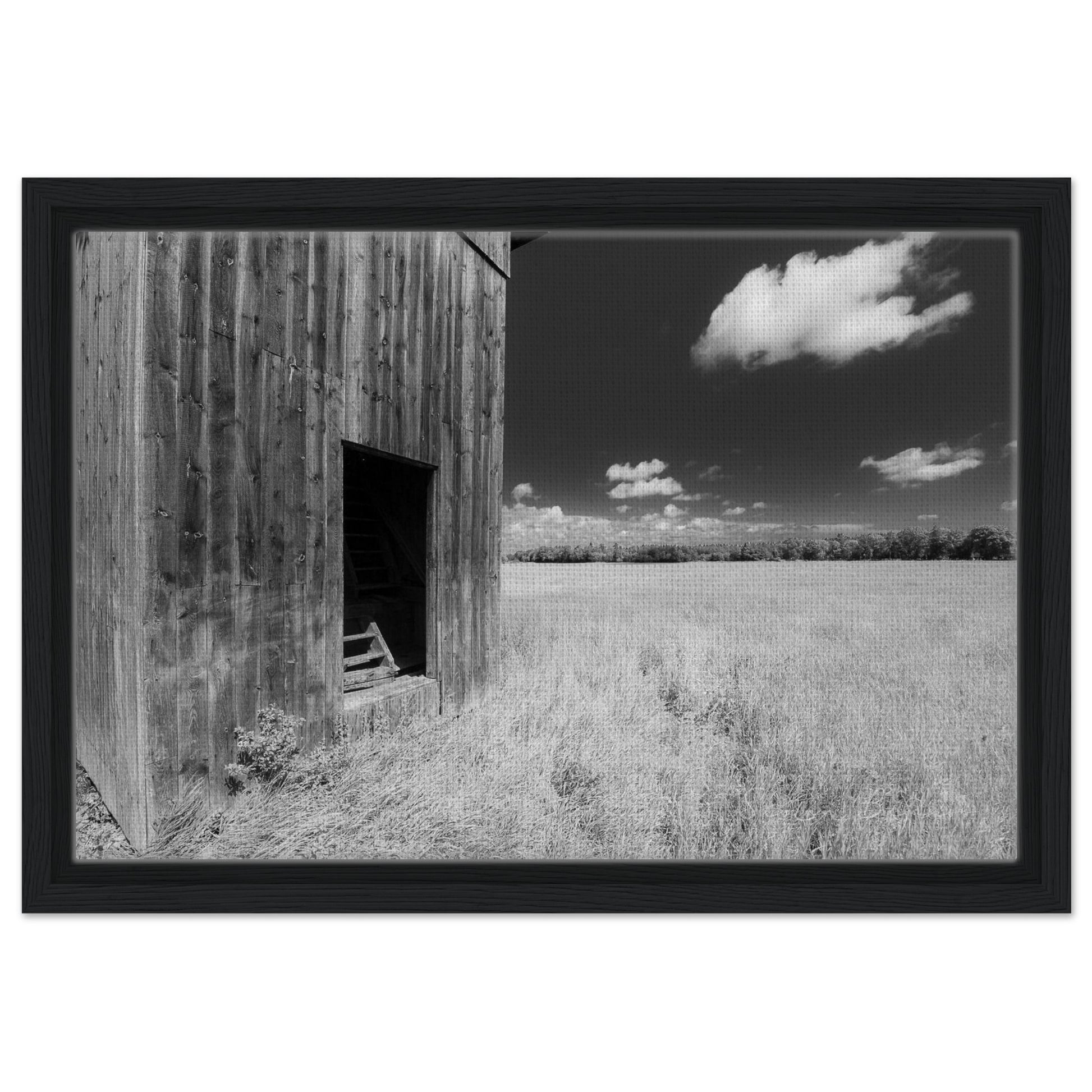 7fb0aae6-43a2-40c5-a07a-2439bc7a03c1