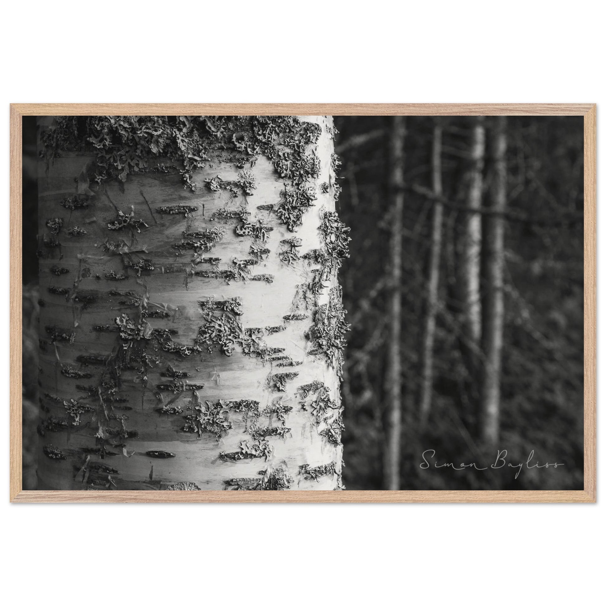 7fe7c15e-389f-4719-9e19-10252a3c1def