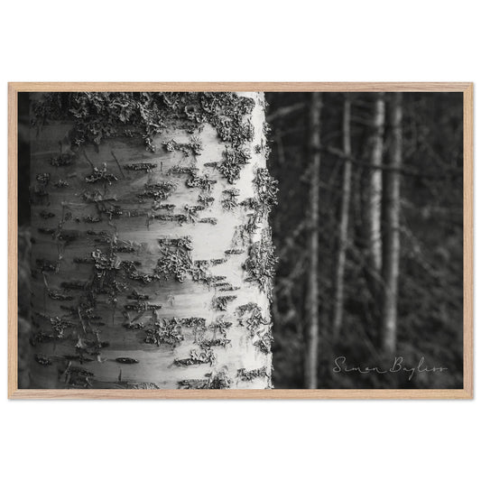 7fe7c15e-389f-4719-9e19-10252a3c1def