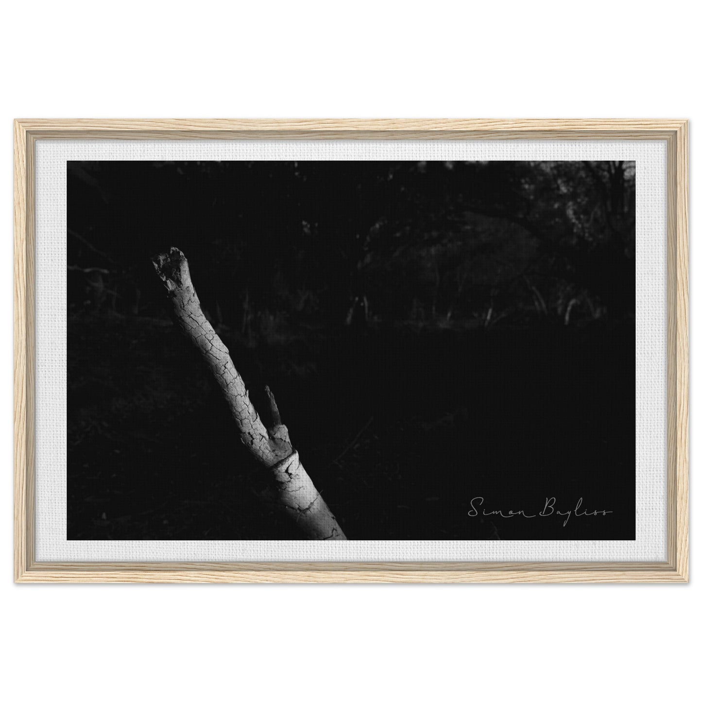 8037f4bc-cc97-4bc7-80bd-31e763f06335