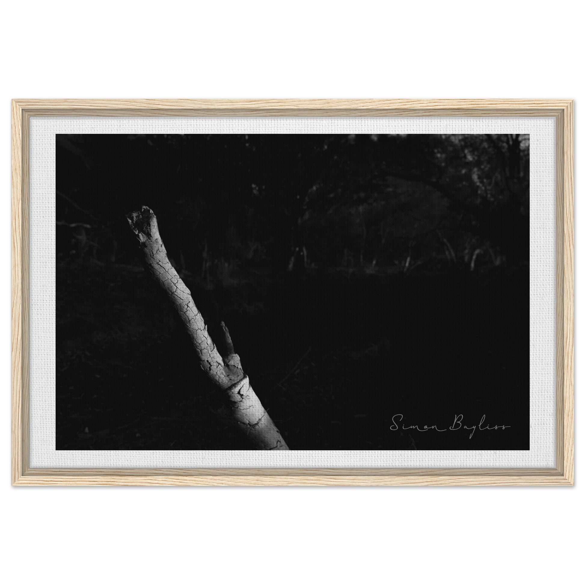 8037f4bc-cc97-4bc7-80bd-31e763f06335