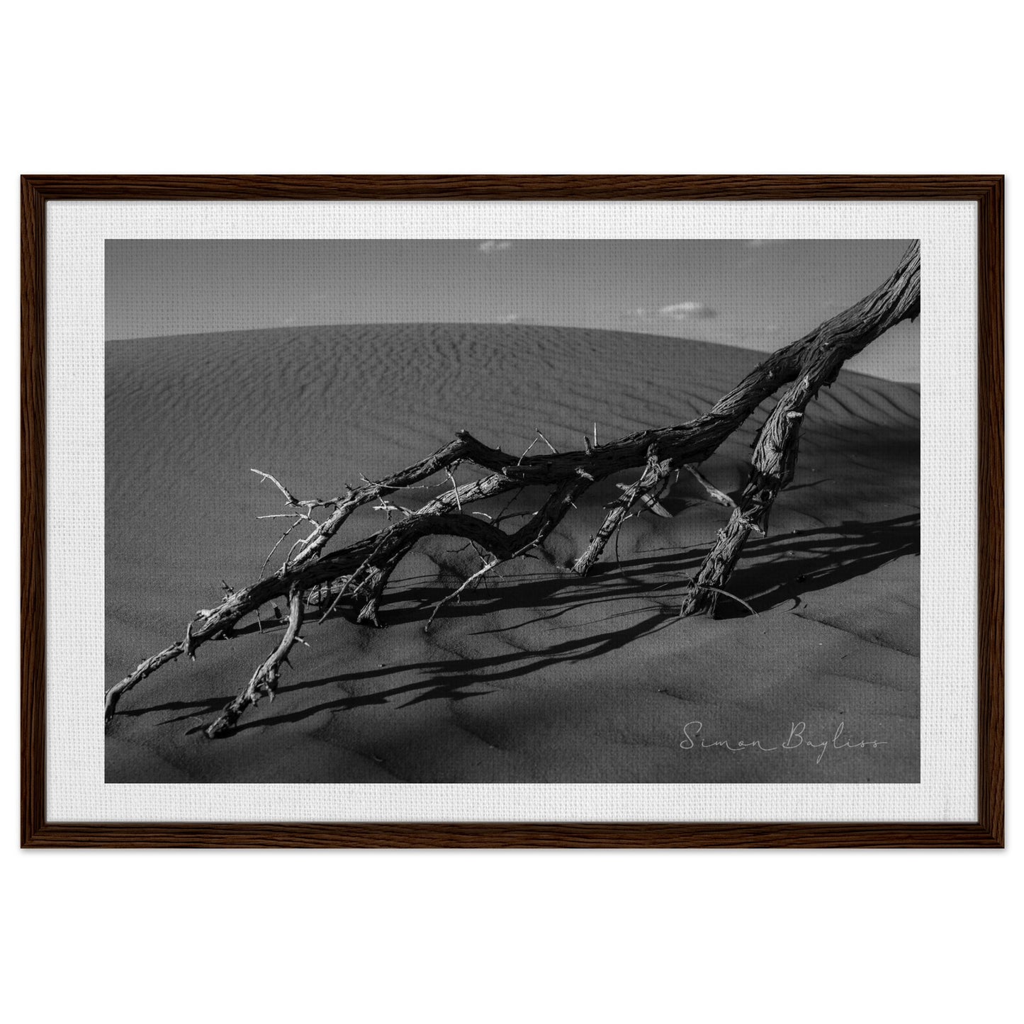 8044baf7-40a0-4f22-b543-1540caa838f0