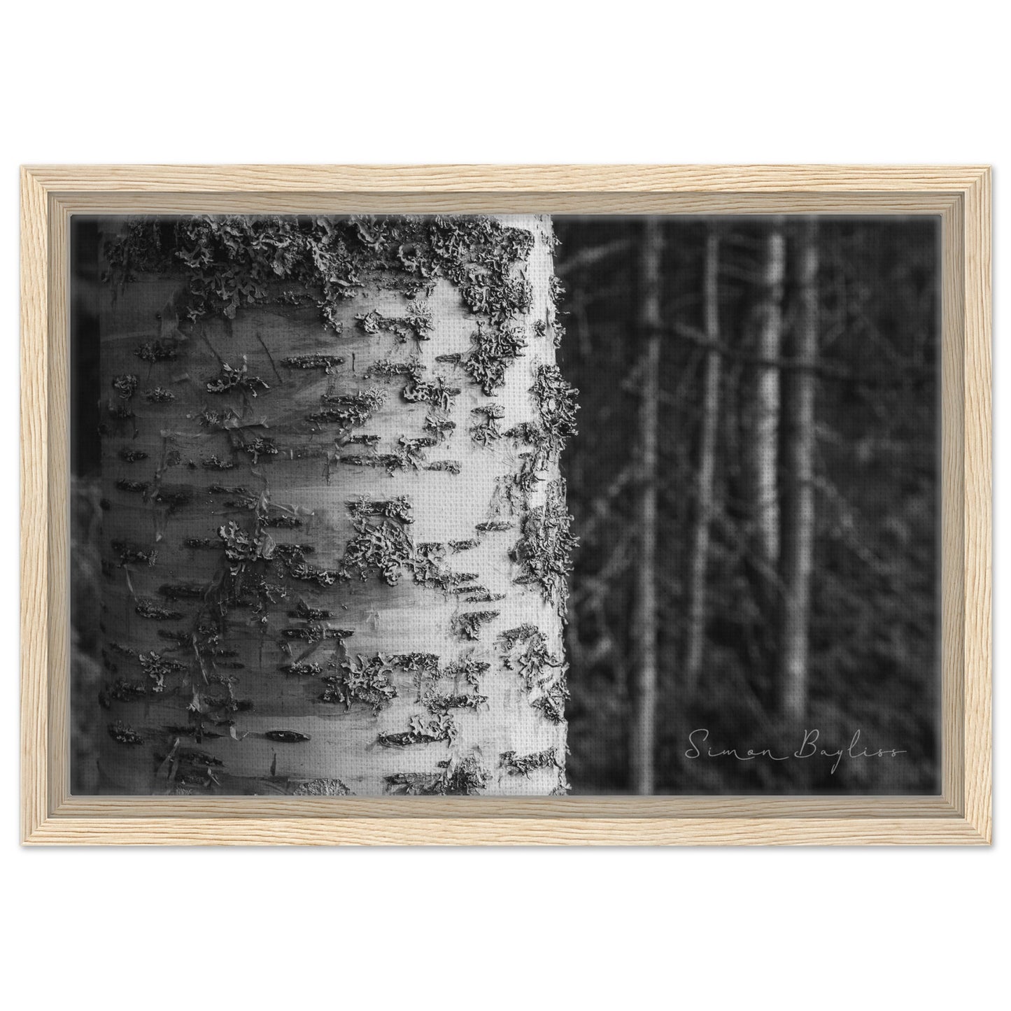 8055b026-c90f-4c87-8bda-6d812c409c9c