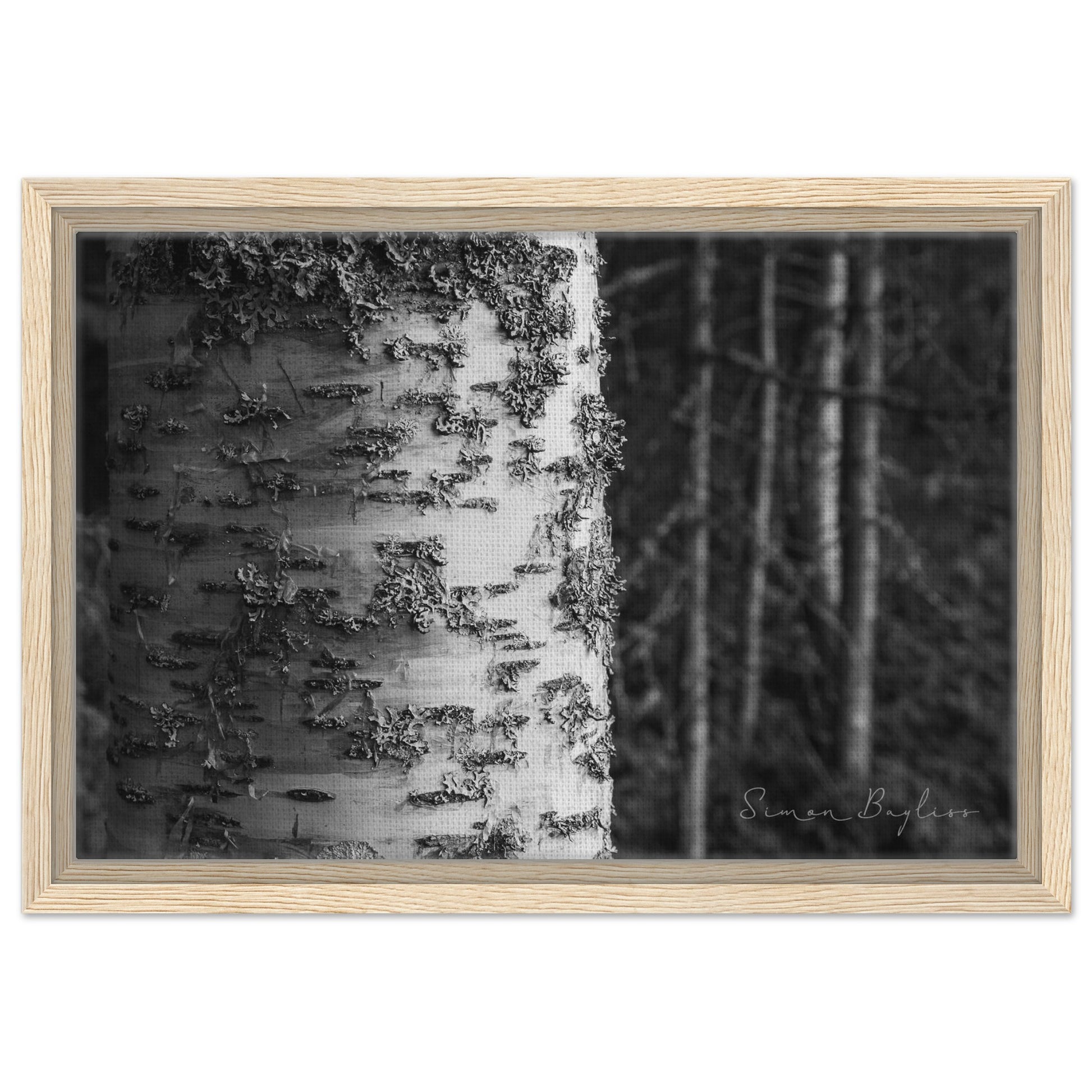 8055b026-c90f-4c87-8bda-6d812c409c9c