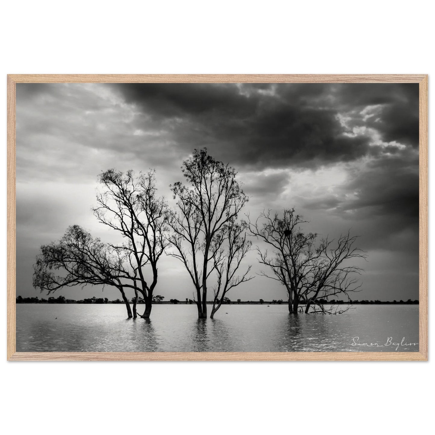 8067f832-3f2f-4f5d-b3ec-b99d86b15e5b