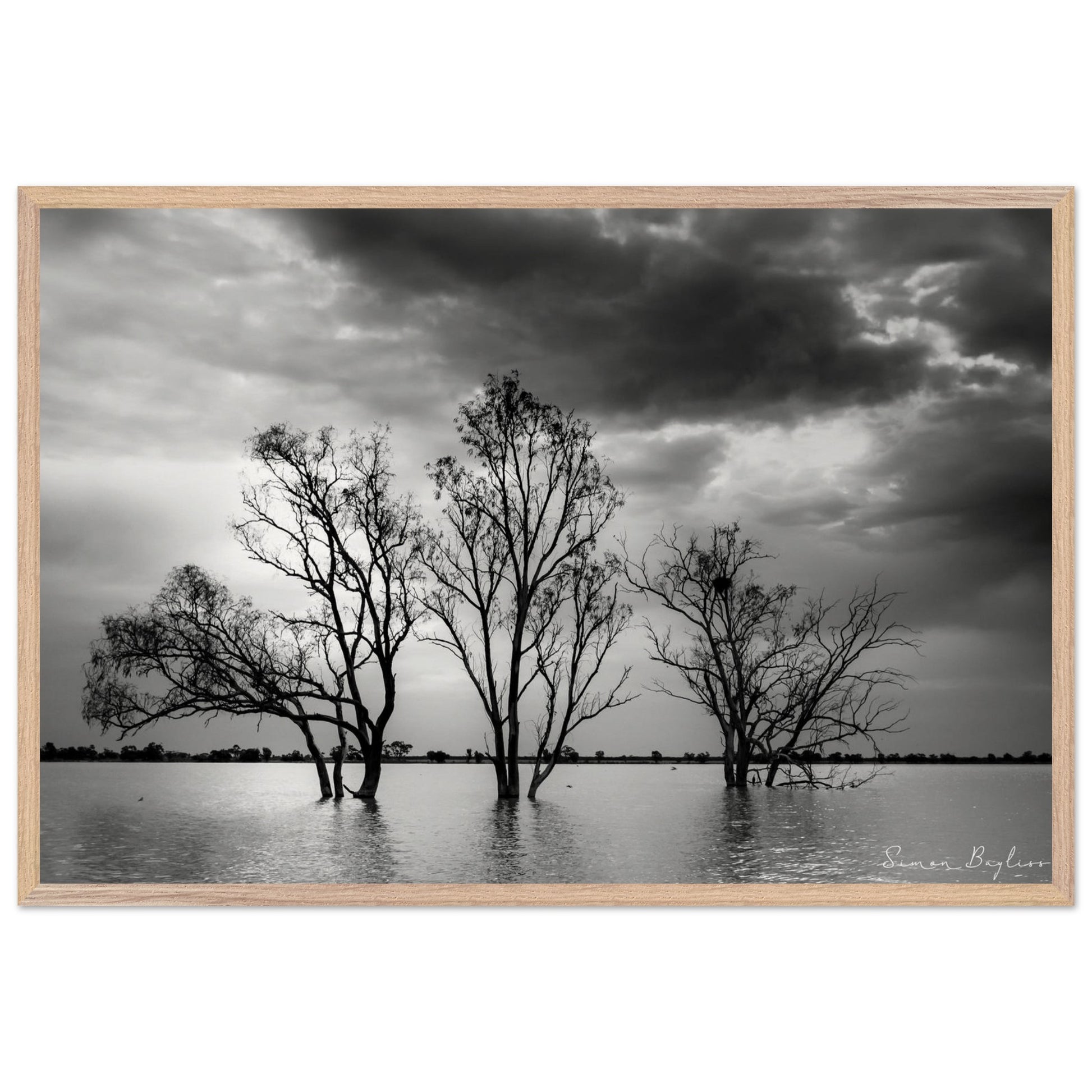 8067f832-3f2f-4f5d-b3ec-b99d86b15e5b