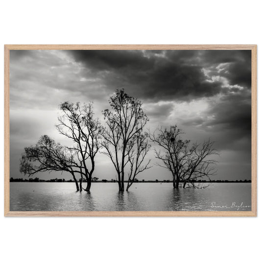 8067f832-3f2f-4f5d-b3ec-b99d86b15e5b