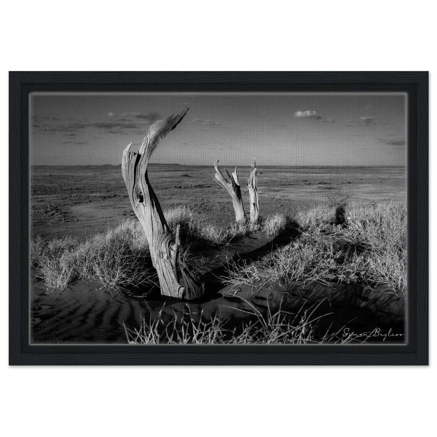 813c9cff-5fc2-4c00-bb03-cbfea4caff55