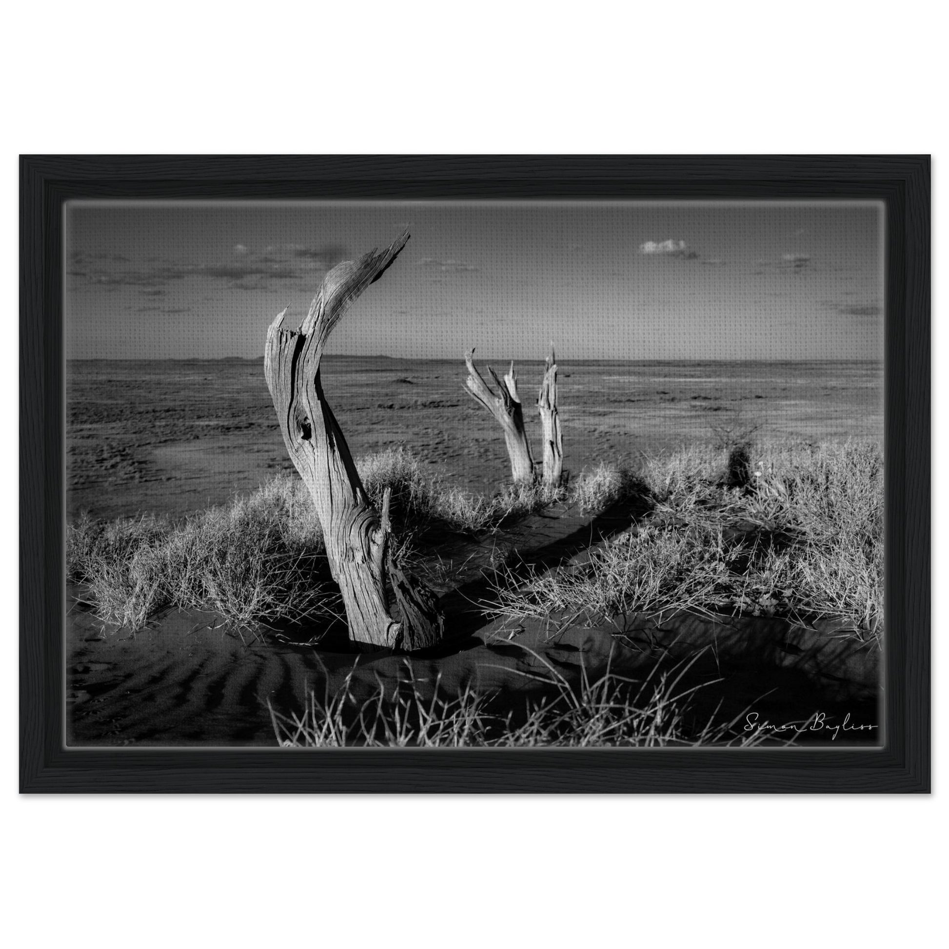 813c9cff-5fc2-4c00-bb03-cbfea4caff55