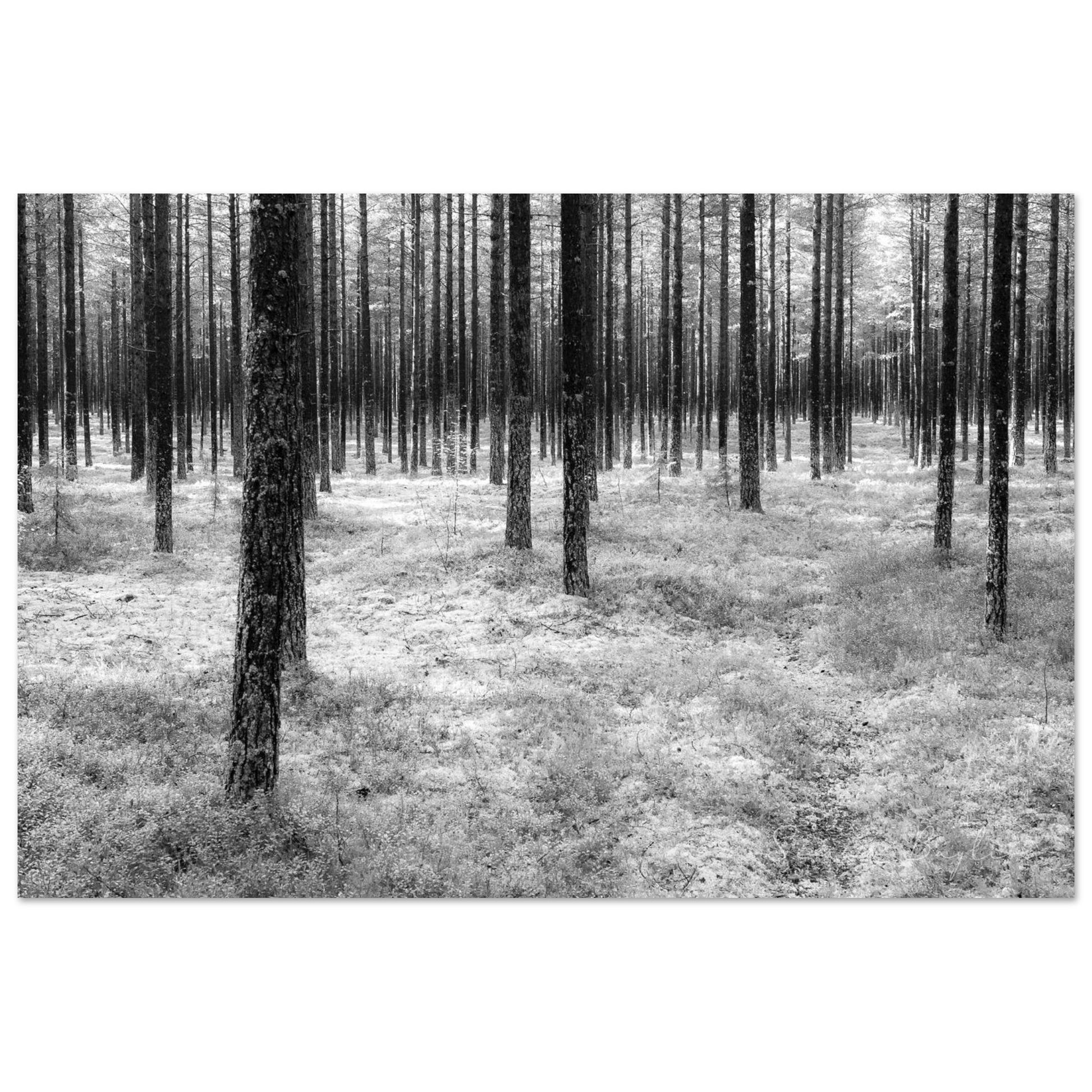 8168415f-986d-4abf-af29-cd9b86b195b4