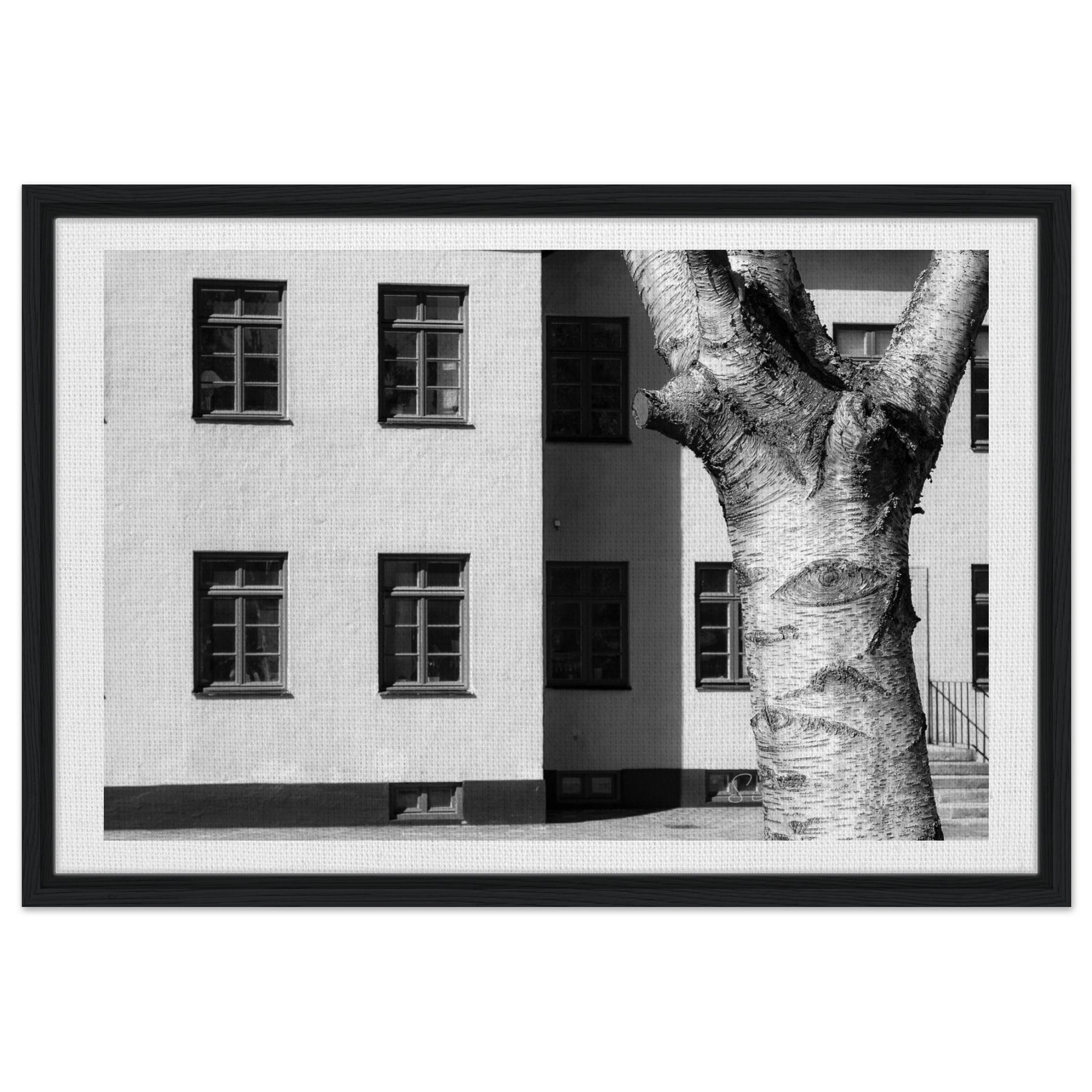 81874762-bdfd-45d3-81eb-e4e966c6ed6b