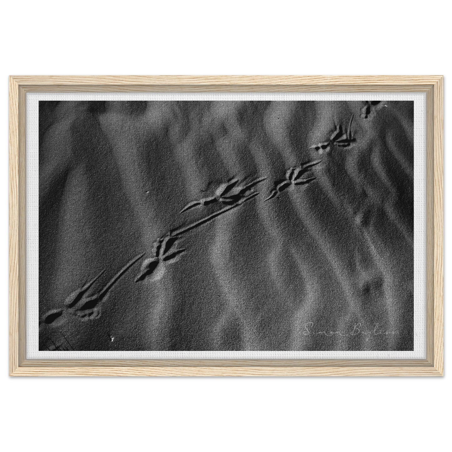 8197b63b-b2fe-42c5-9536-3af842d7d154