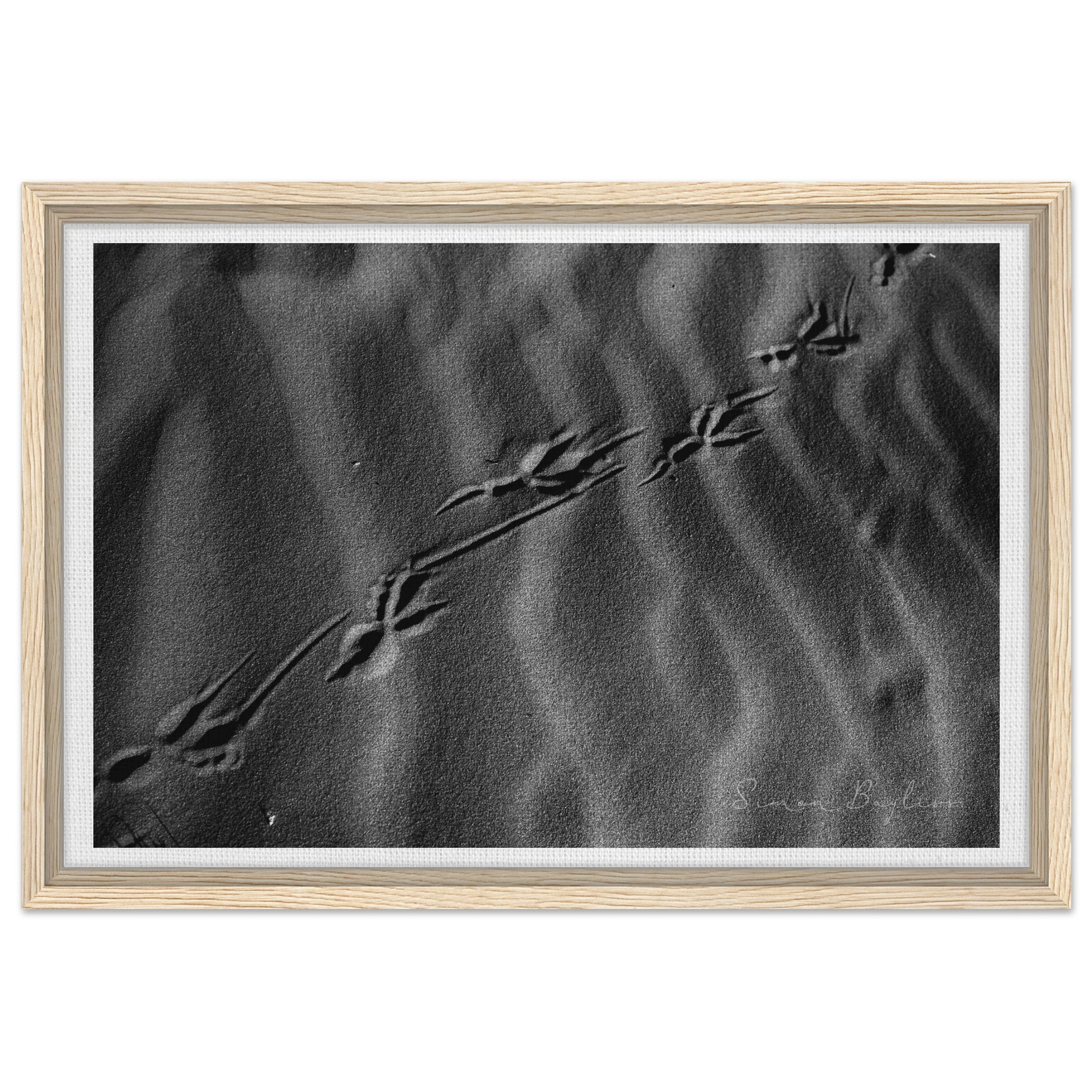 8197b63b-b2fe-42c5-9536-3af842d7d154