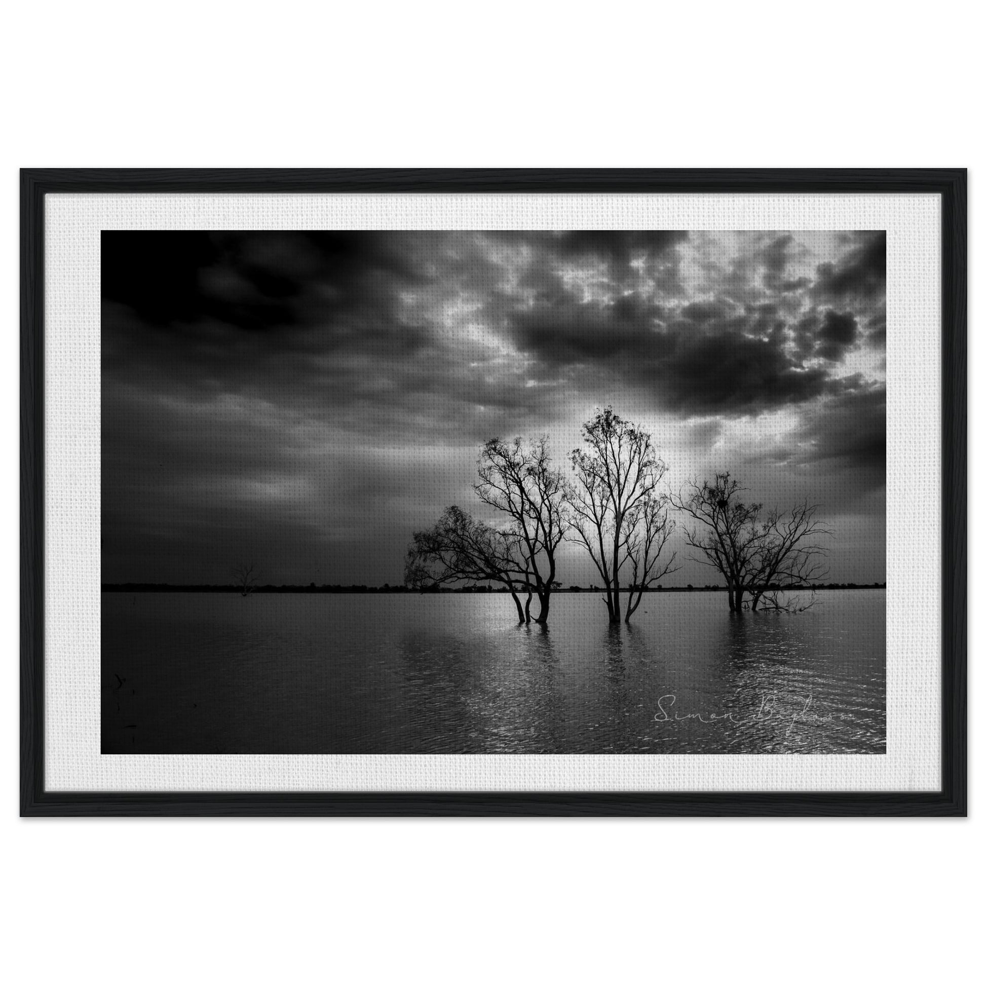 81bc1ed6-f3f7-4abb-9f6a-6c5b0b9725b8