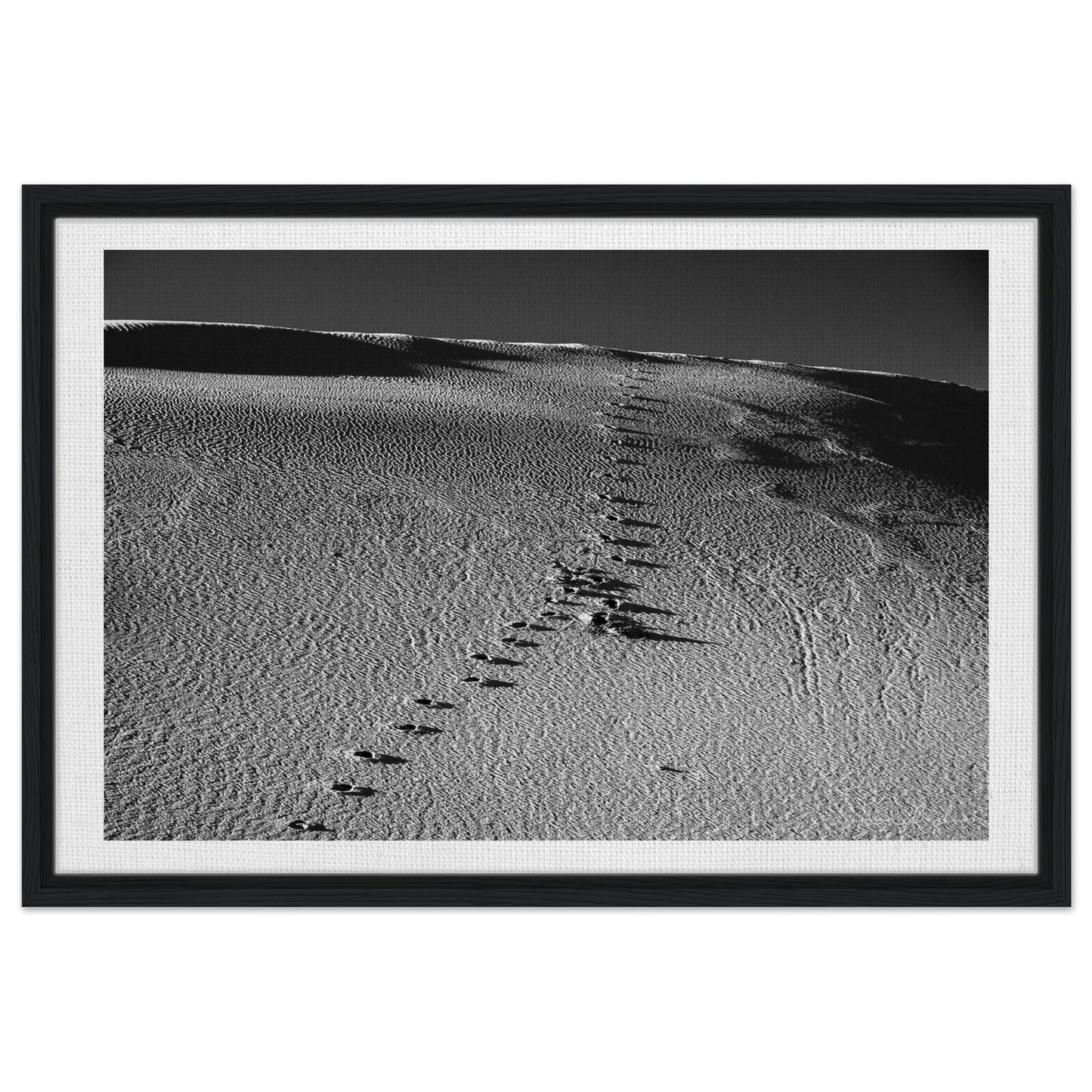 81c41ee9-e801-4e5a-a71d-9d9eec852220