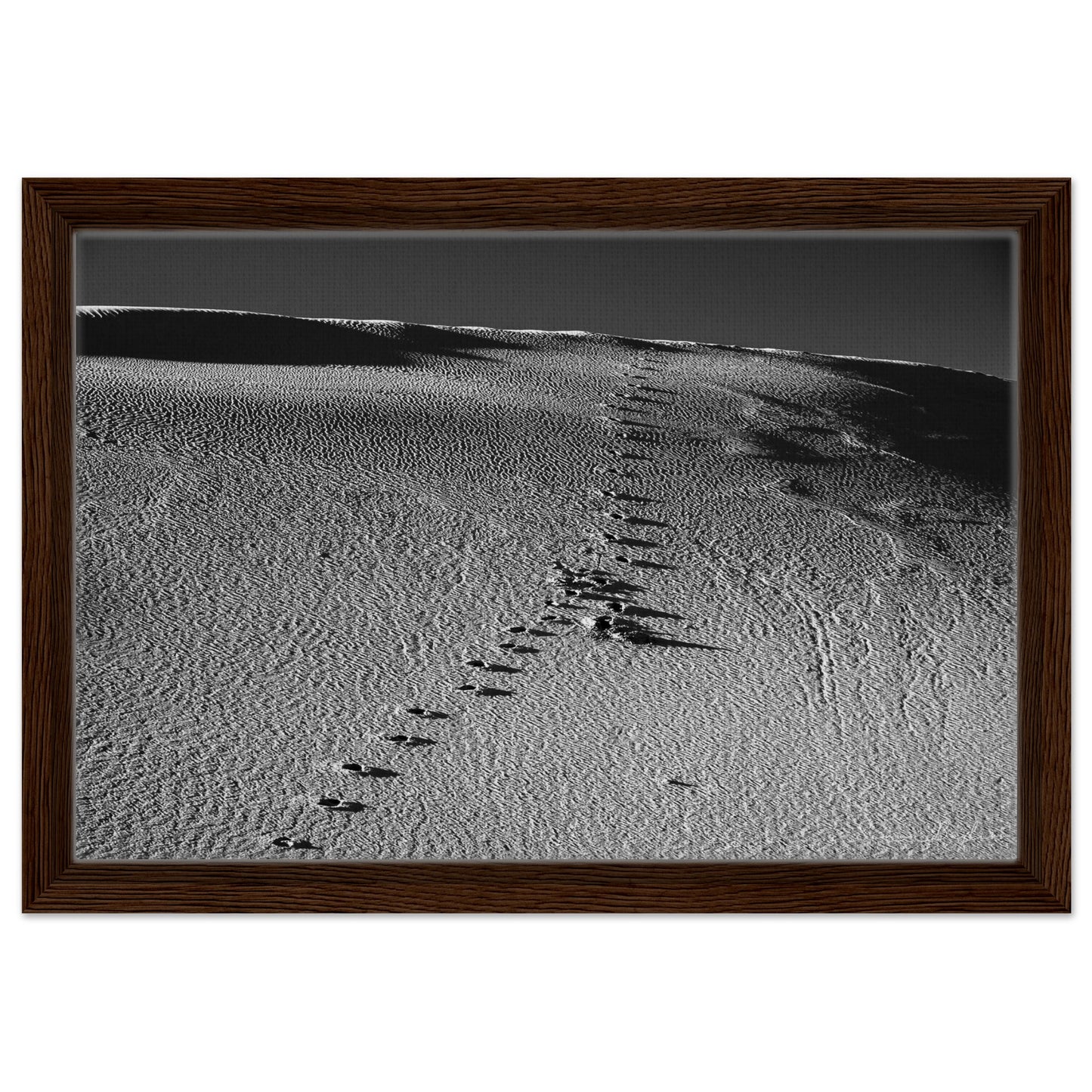 81d5ea05-b2de-4425-8ca3-e6f11d3d5569